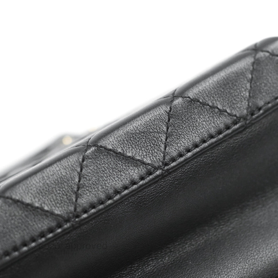 Chanel Quilted Vanity Case with Chain Black Calfskin Gold Hardware 22B