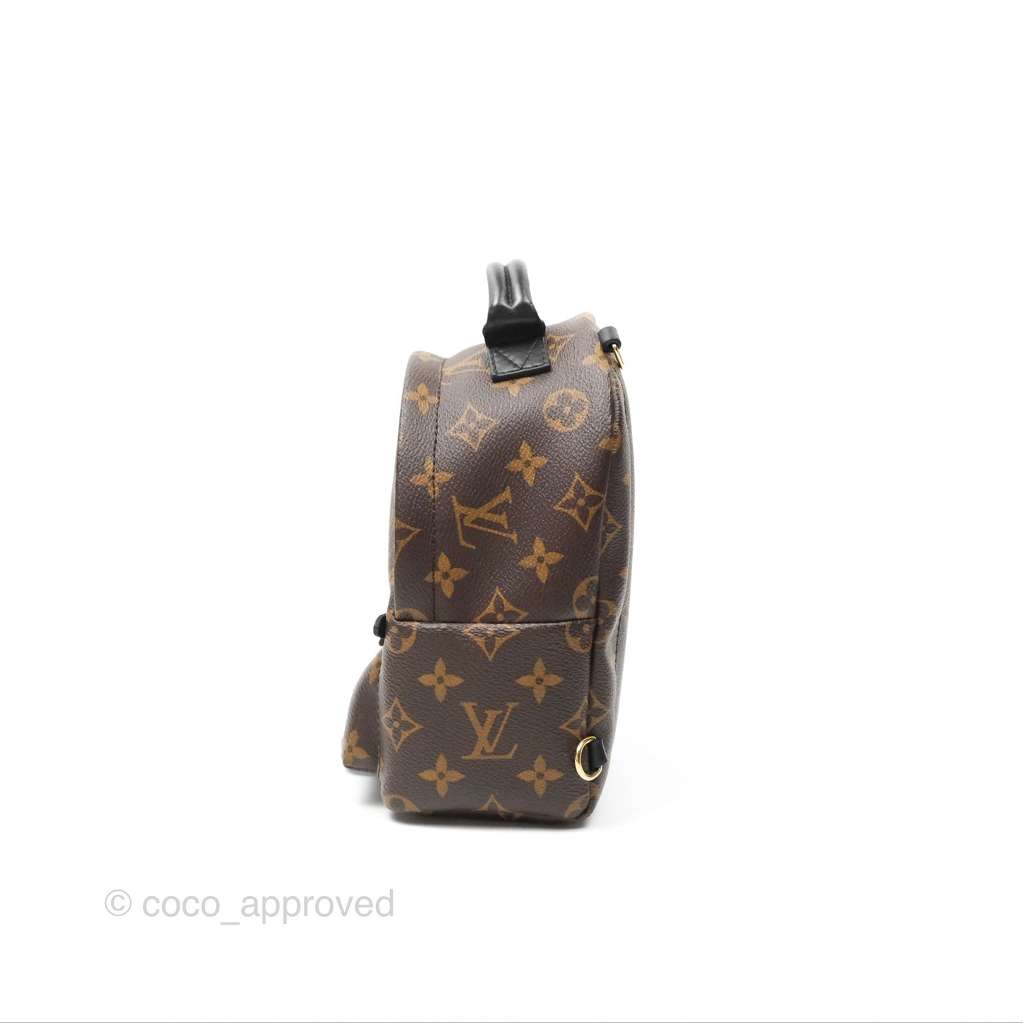 Louis Vuitton Mini Palm Springs Backpack⁣ Monogram Canvas