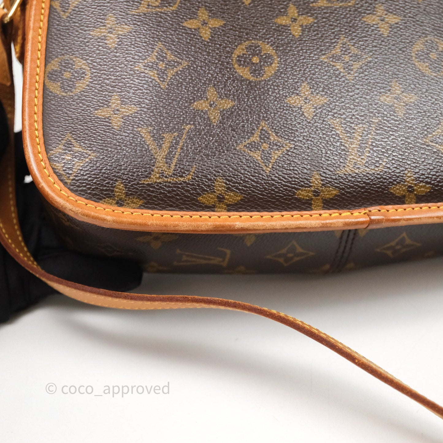 Louis Vuitton Vintage Diane Bag Monogram Canvas