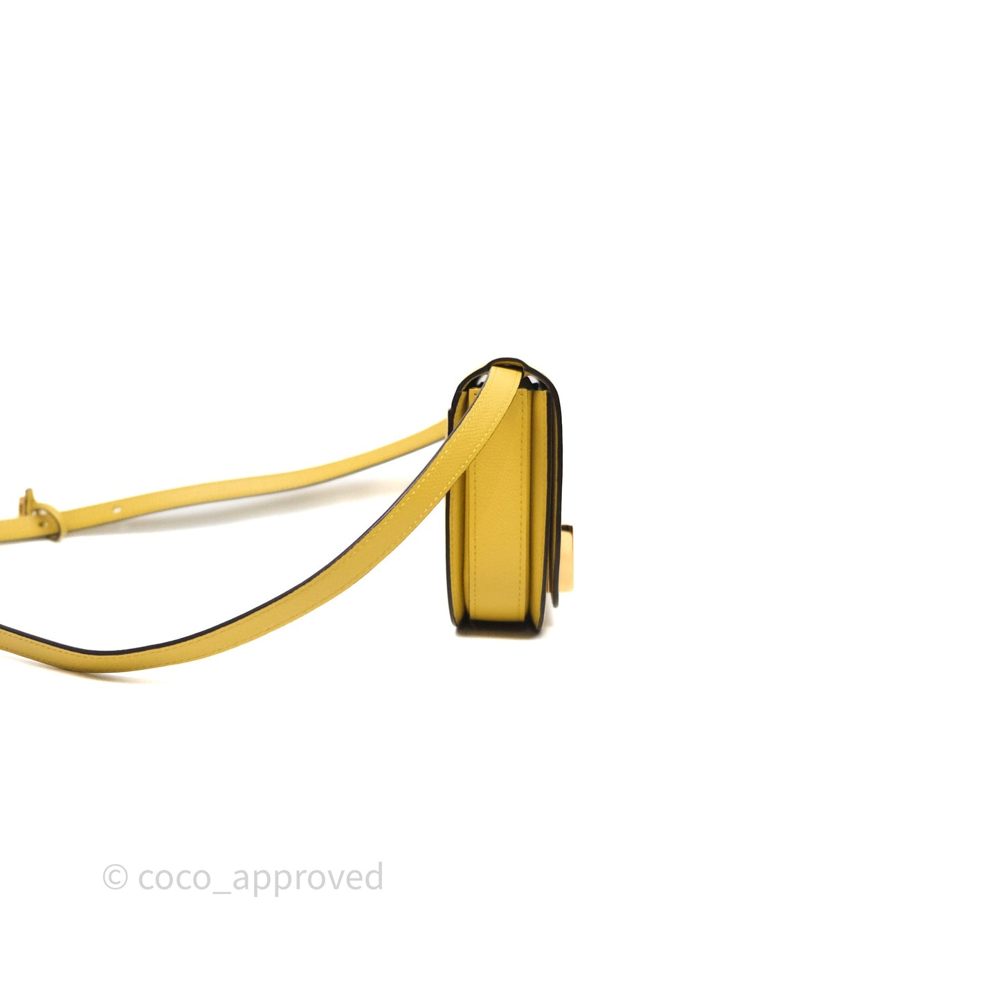 Delvaux Small Lingot Bag Pollen Alpina Calfskin Gold Hardware
