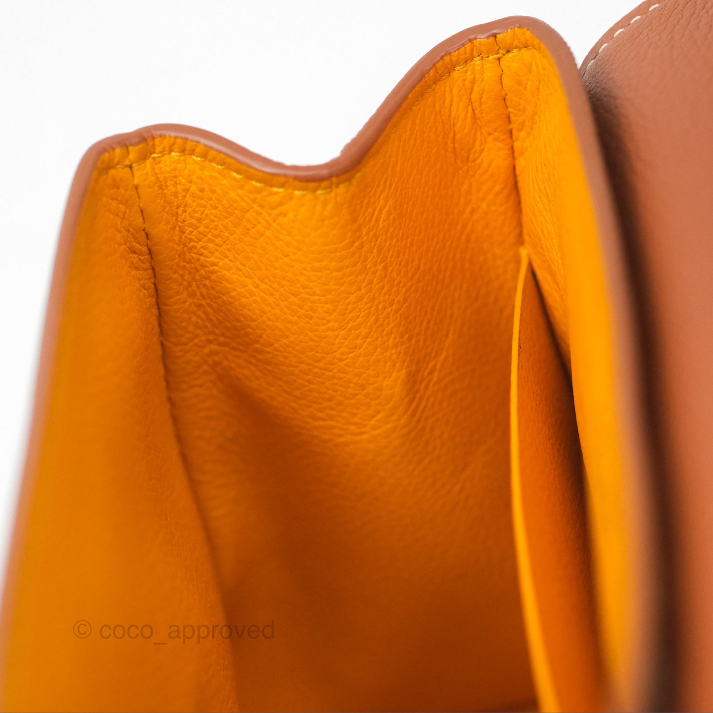 Goyard Saïgon Mini Bag Tan Goyardine Canvas/Chevroches Calfskin