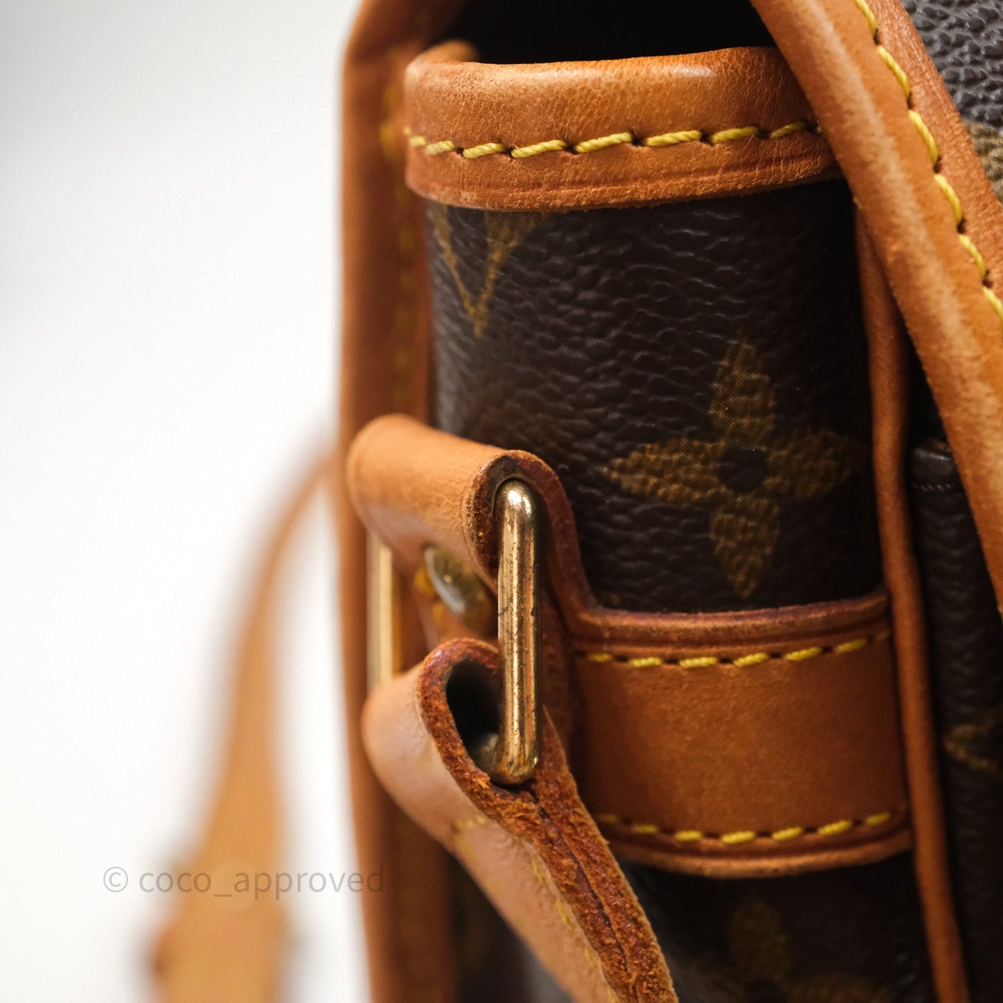 Louis Vuitton Vintage Diane Bag Monogram Canvas