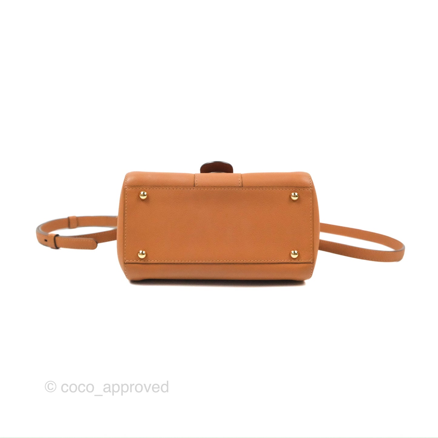 Delvaux Mini Brillant Bag Vegetal Rodeo Calf Gold Hardware