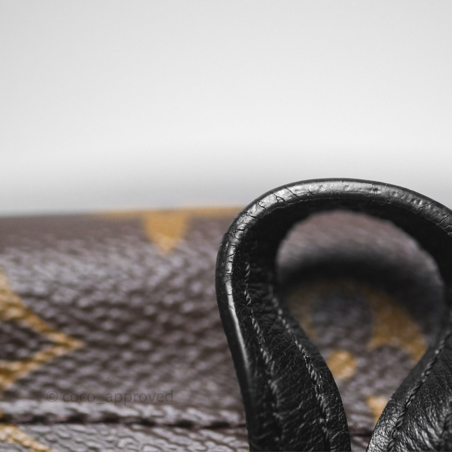 Louis Vuitton Monogram Mini Palm Springs Backpack⁣