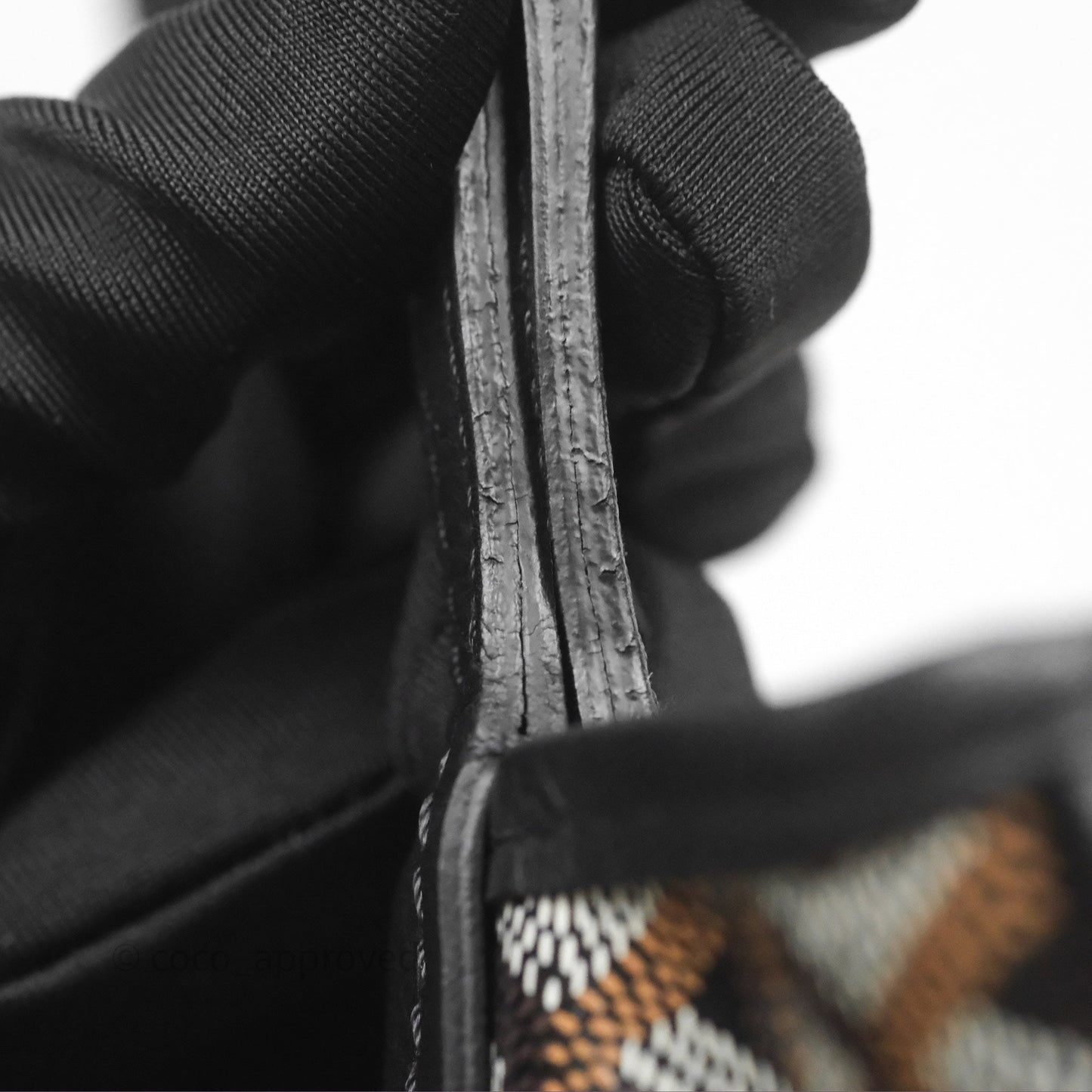 Goyard Anjou Mini Bag Goyardine Canvas Black