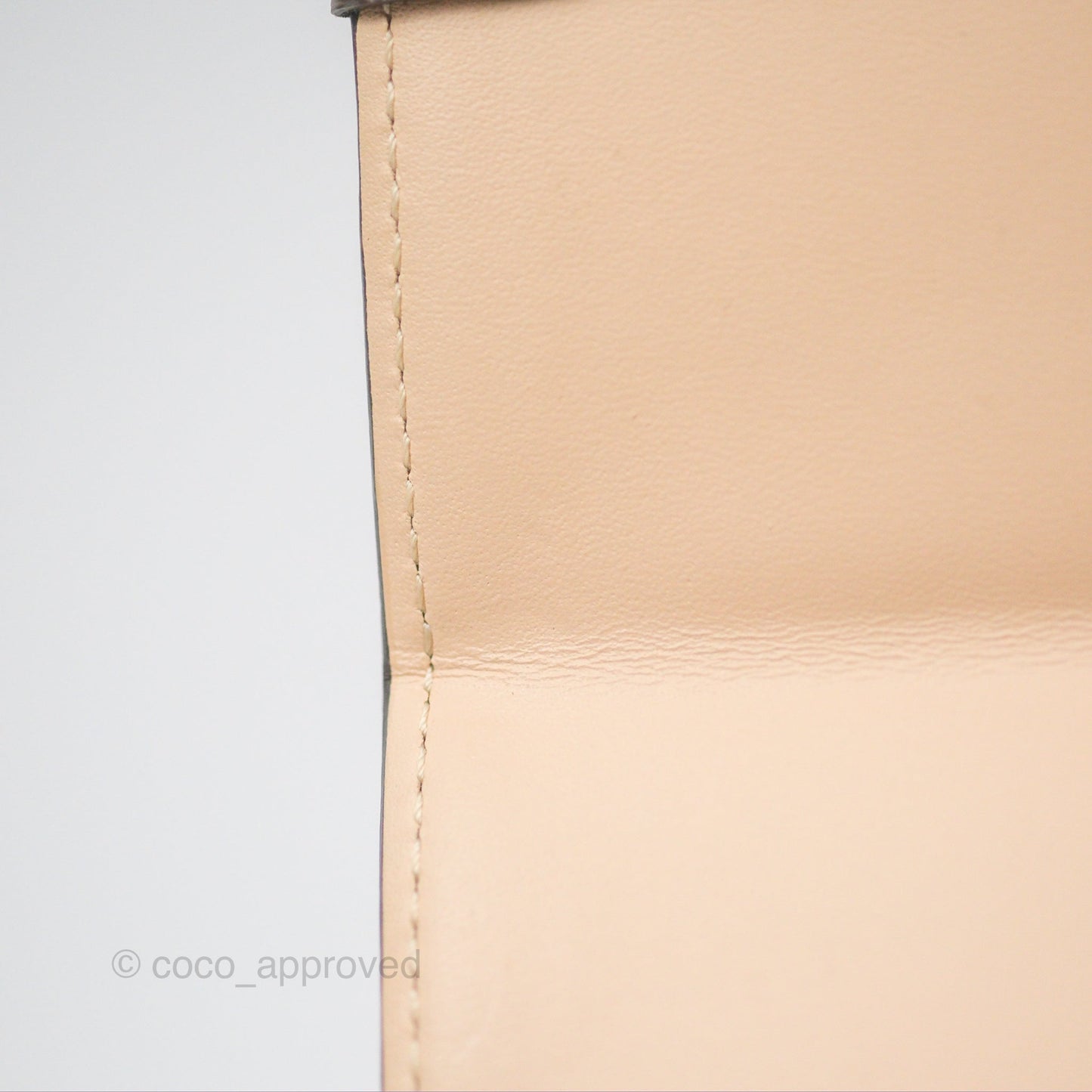 Louis Vuitton Reverse Monogram Pochette Vertical Trunk