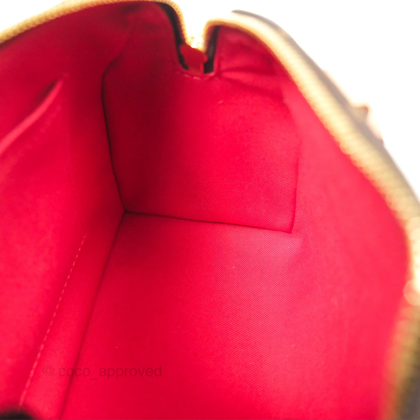 Louis Vuitton Speedy Bandoulière 20 Monogram