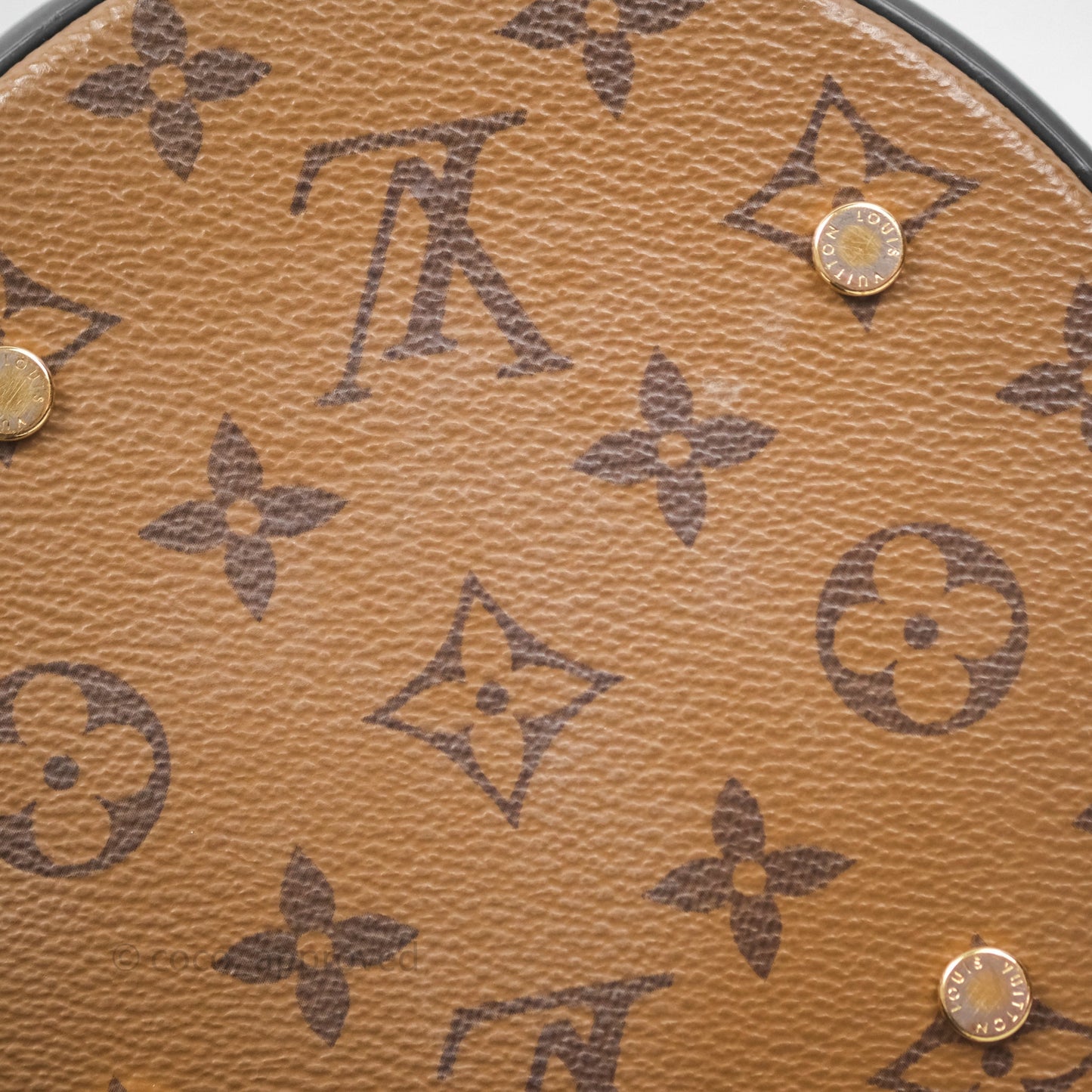 Louis Vuitton Monogram Canvas Reverse Cannes Bag
