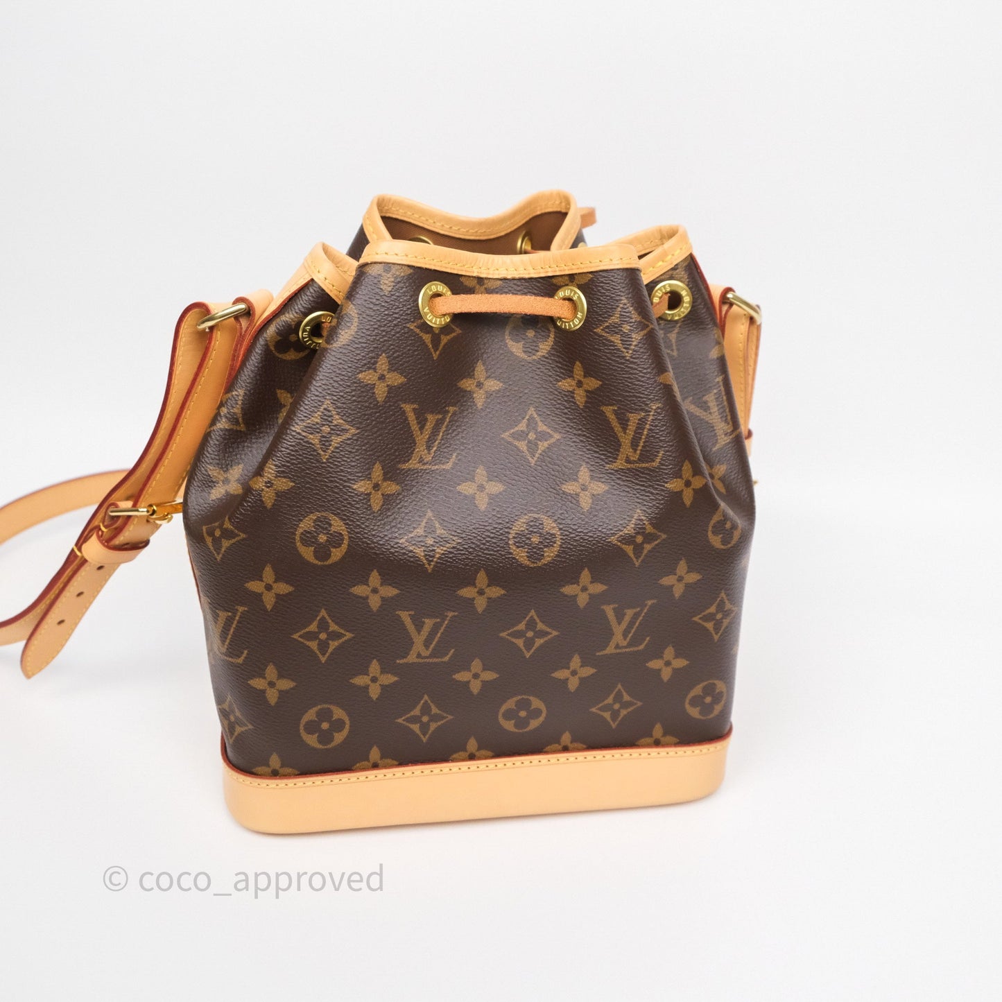 Louis Vuitton Noé BB Monogram Canvas