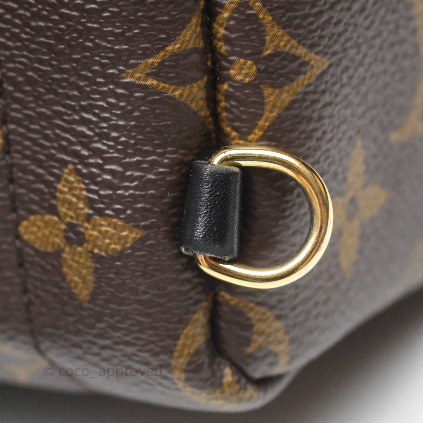 Louis Vuitton Mini Palm Springs Backpack⁣ Monogram