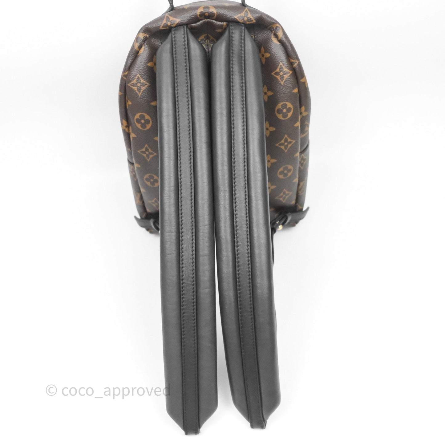 Louis Vuitton Palm Springs Backpack⁣ Monogram PM