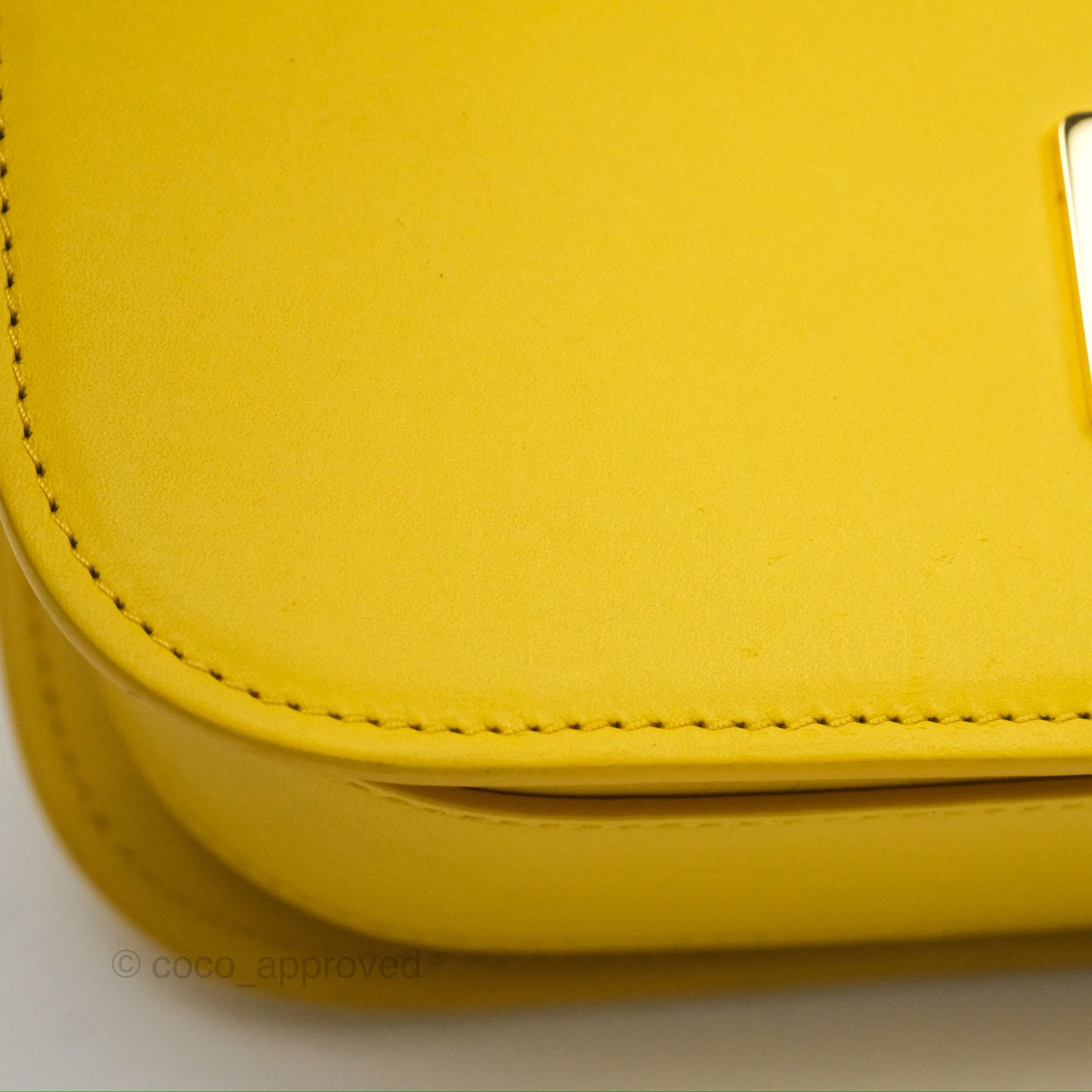 Loewe Small Goya Bag Yellow Silk Calfskin