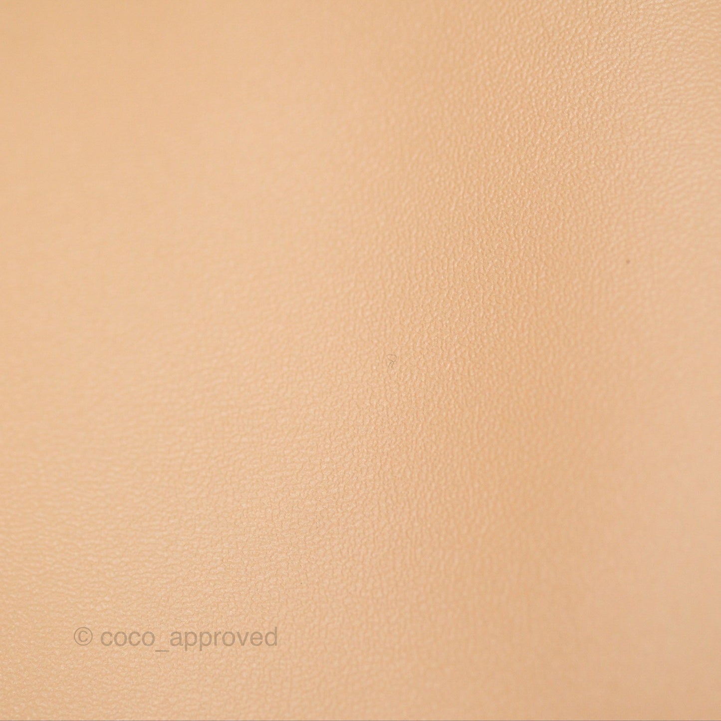 Miu Miu Ivy Leather Bag Beige
