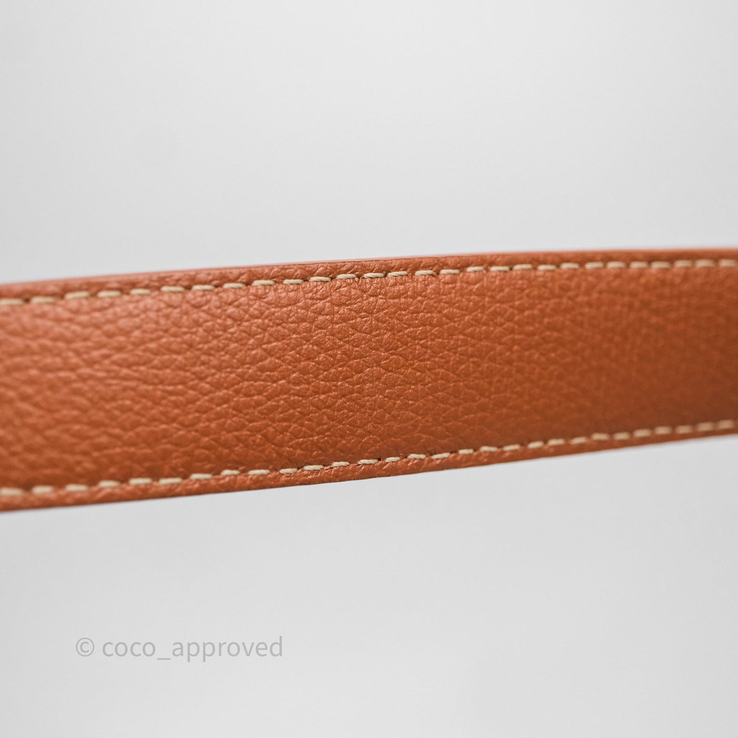 Goyard Bohème Hobo Bag Black & Tan