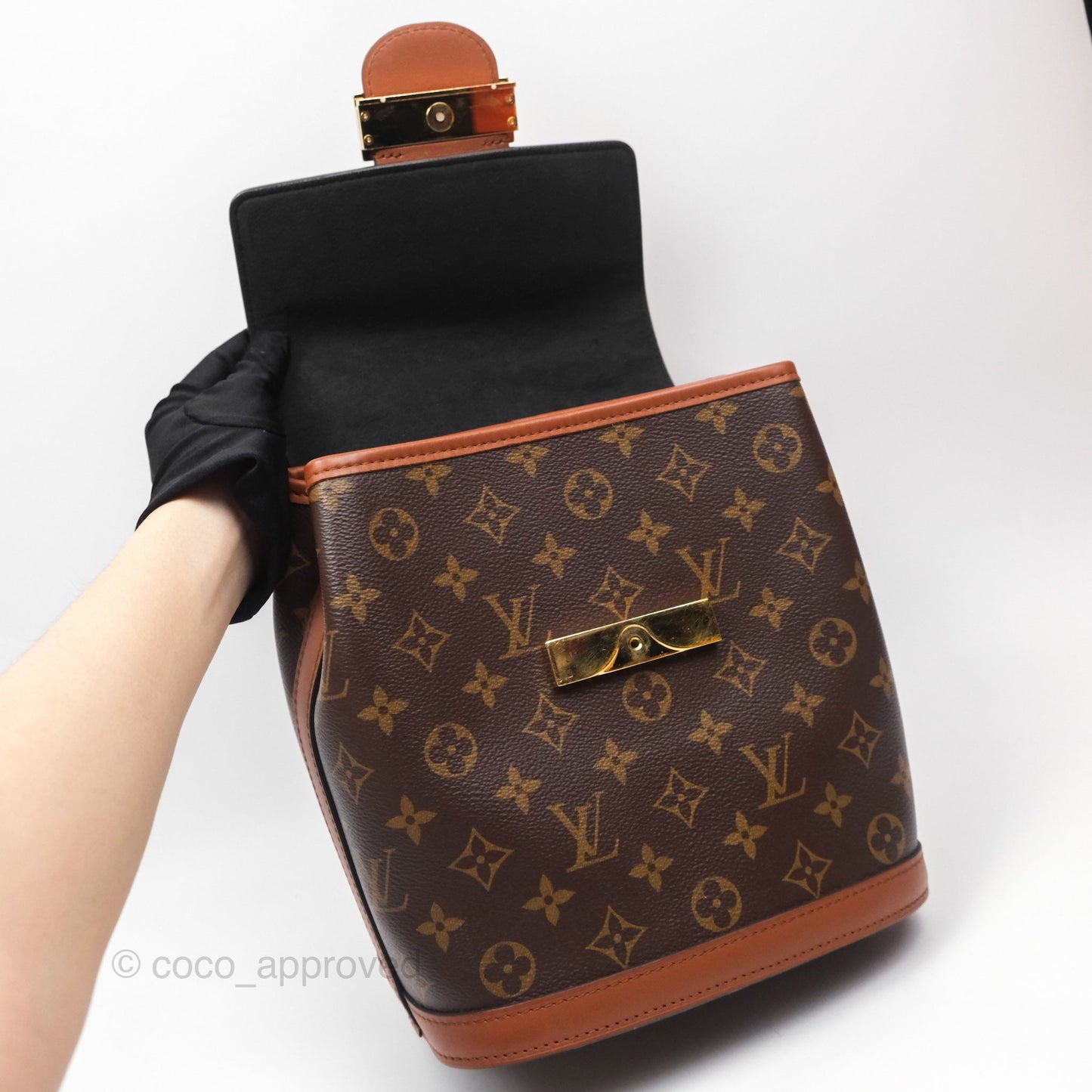 Louis Vuitton Monogram Dauphine Backpack
