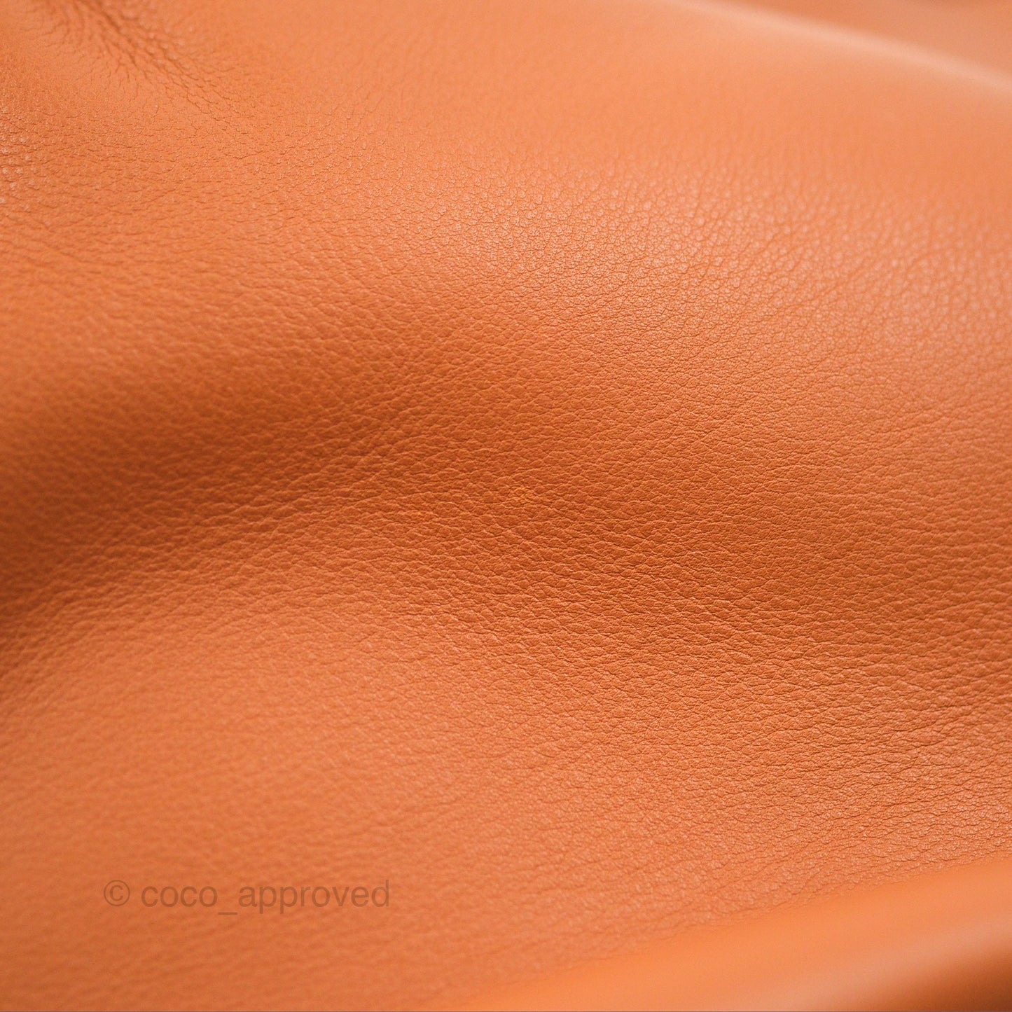 Loewe Large Fortune Hobo Tan Calfskin