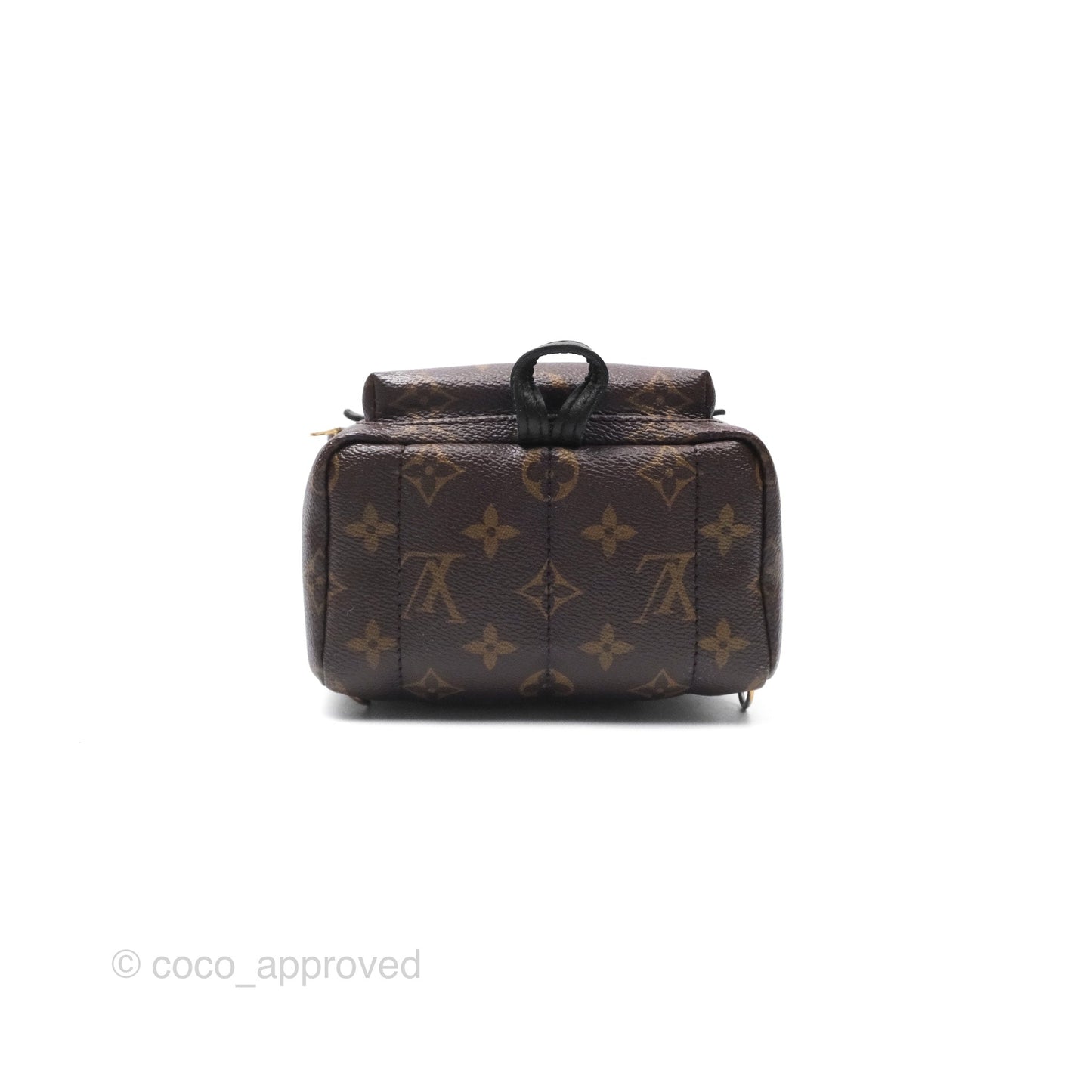 Louis Vuitton Monogram Mini Palm Springs Backpack⁣