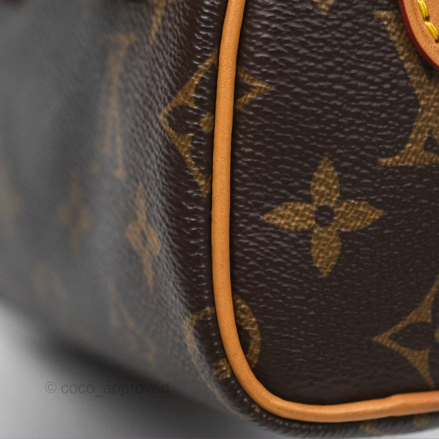 Louis Vuitton Nano Speedy Monogram