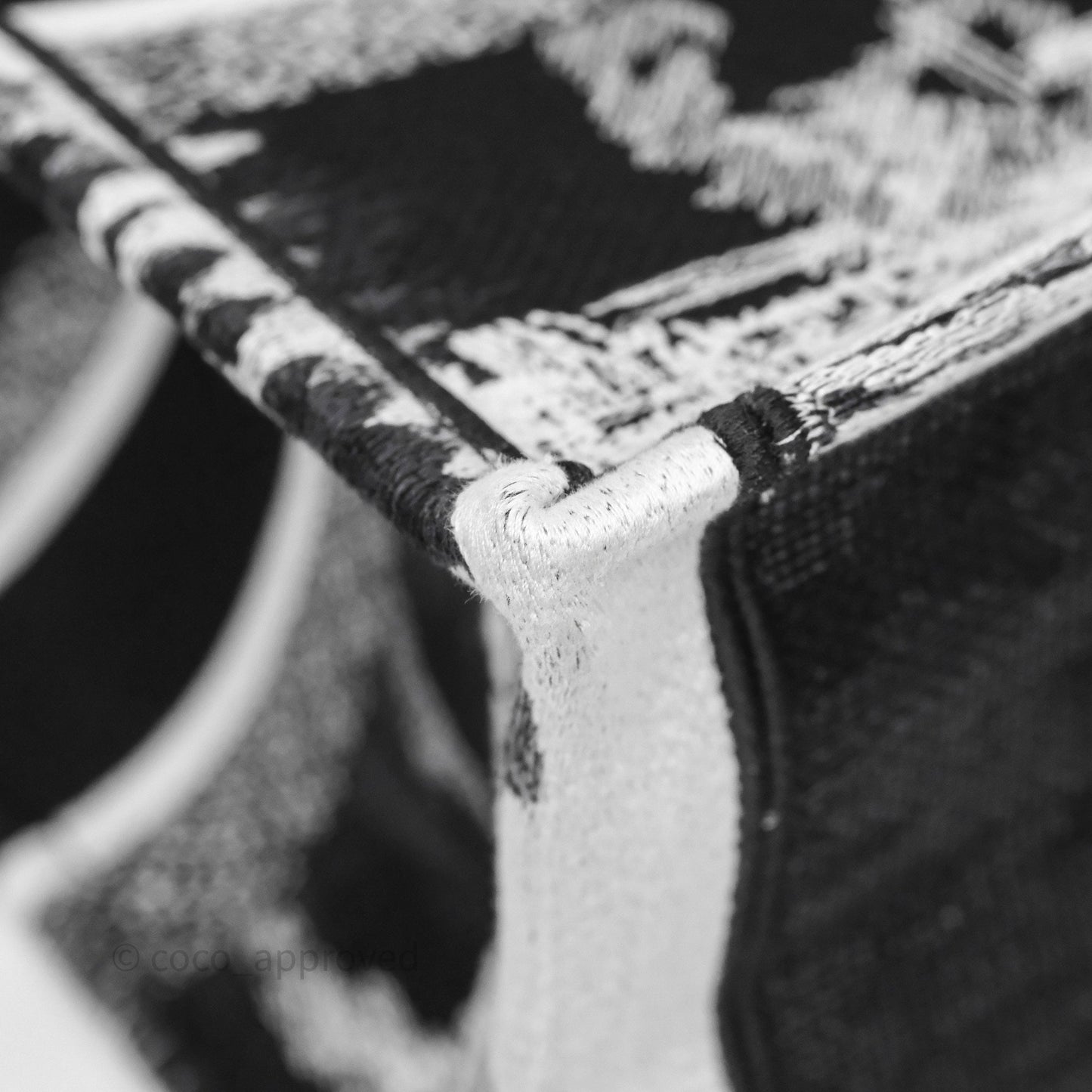 Dior Medium Book Tote Paris Embroidered Black White