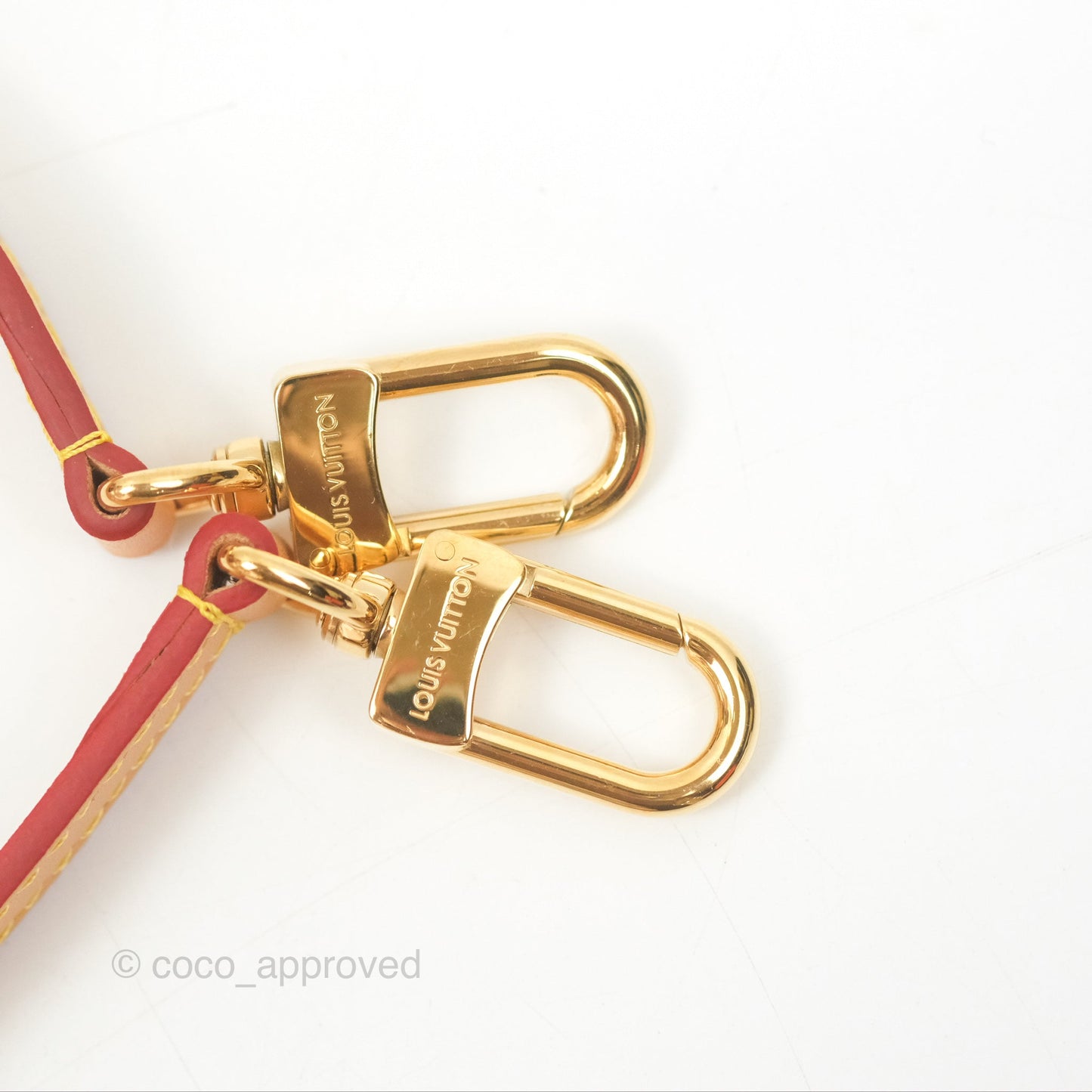 Louis Vuitton Diane Bag Monogram Canvas with Jacquard Strap