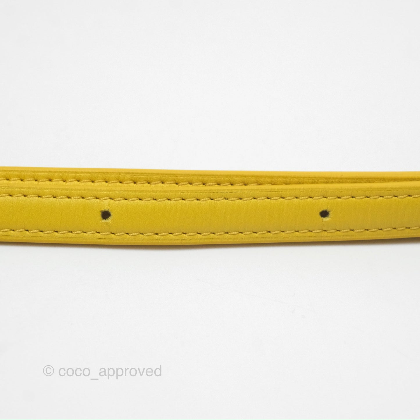Loewe Small Goya Bag Yellow Silk Calfskin