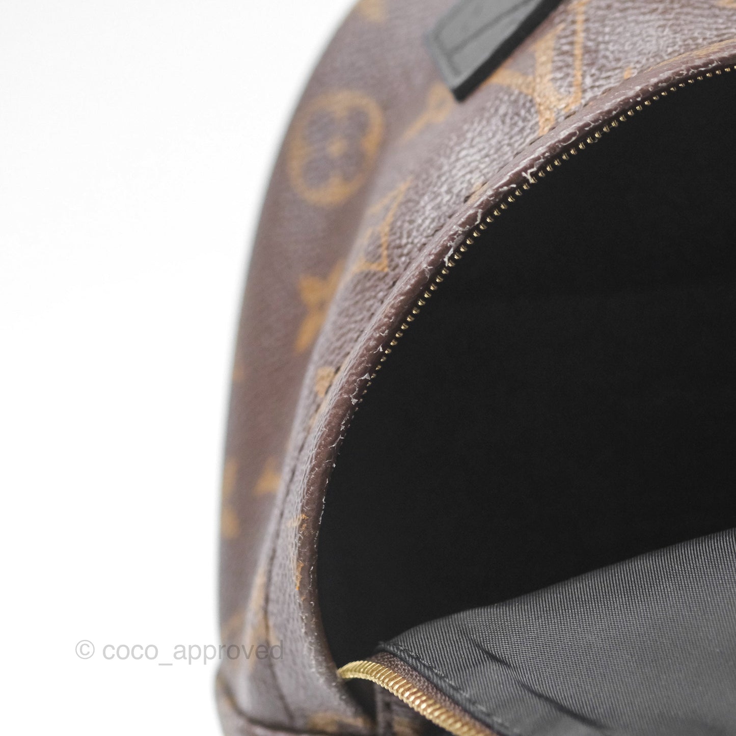 Louis Vuitton Monogram Mini Palm Springs Backpack⁣