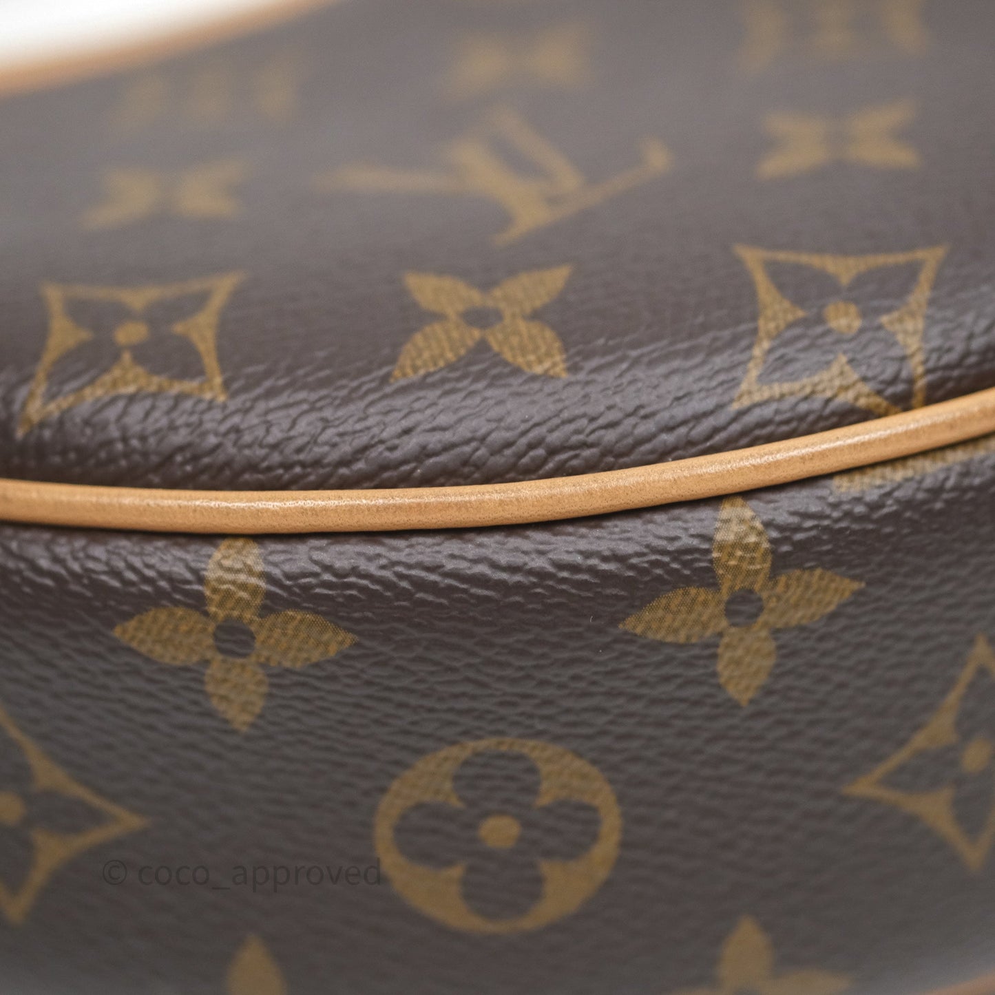Louis Vuitton Loop Monogram Canvas
