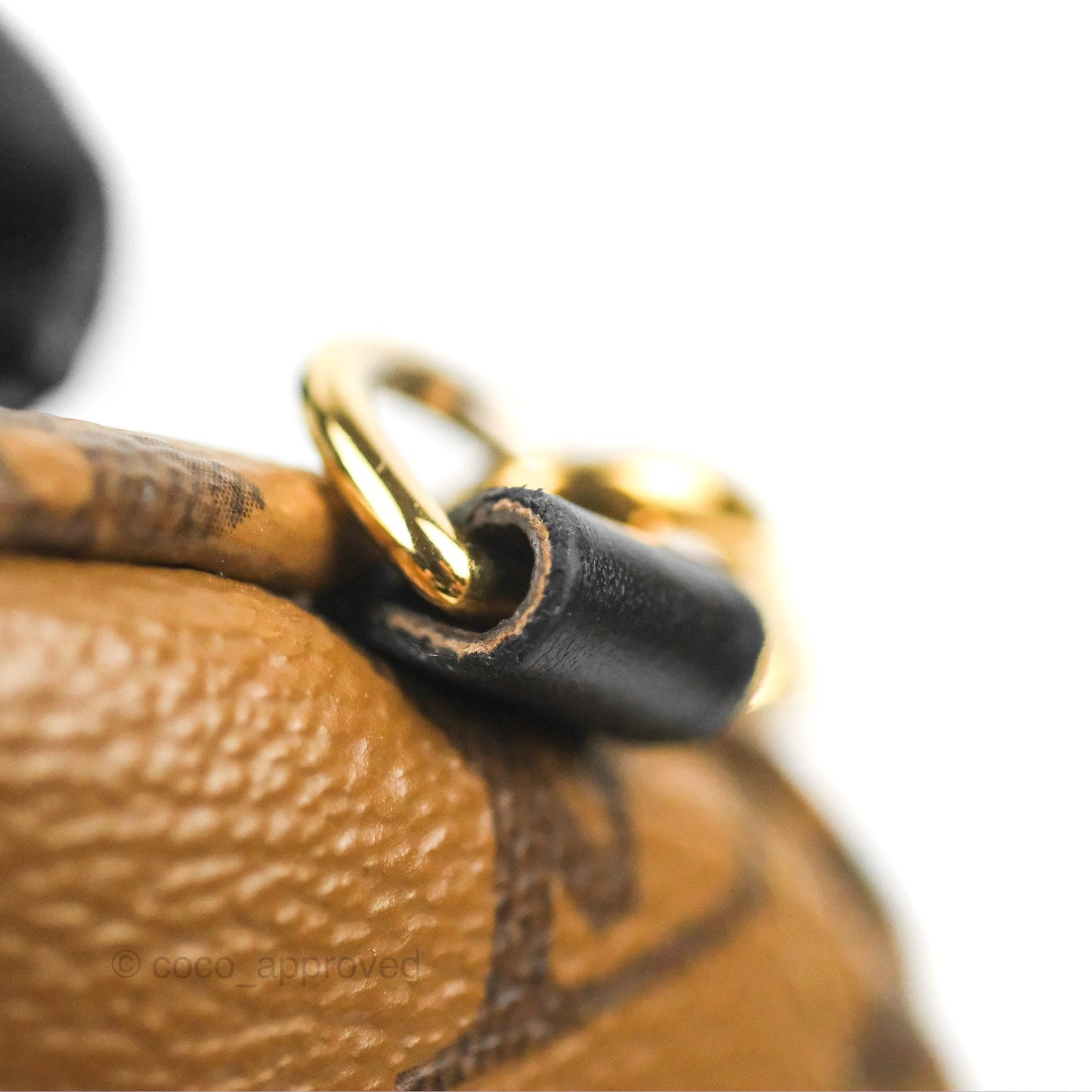 Louis Vuitton Reverse Mini Palm Springs Backpack⁣