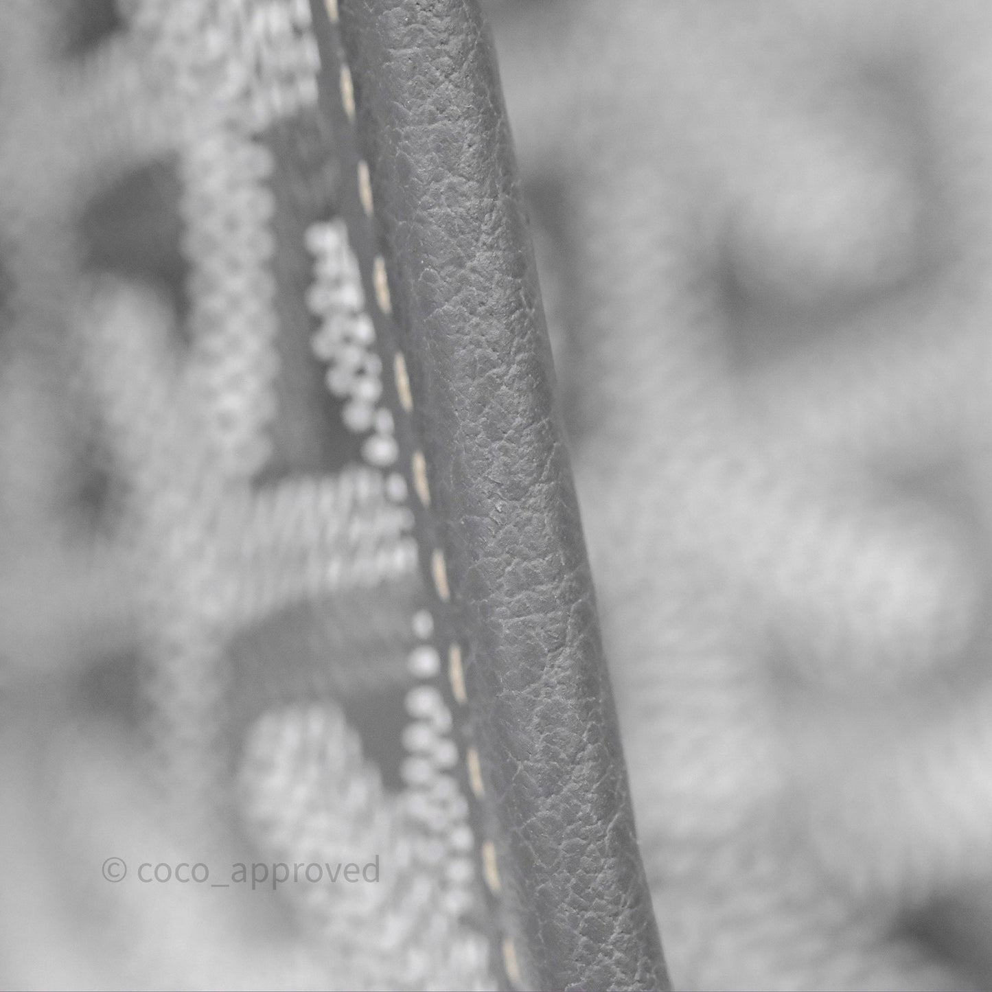 Goyard Anjou Mini Bag Goyardine Canvas Grey
