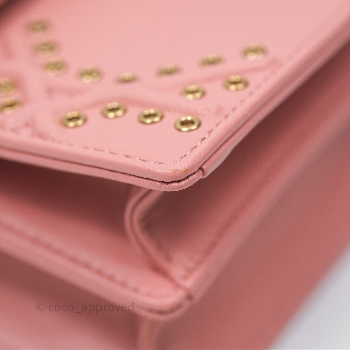 Christian Dior Lambskin Studded Vertical Diorama Dust Candy