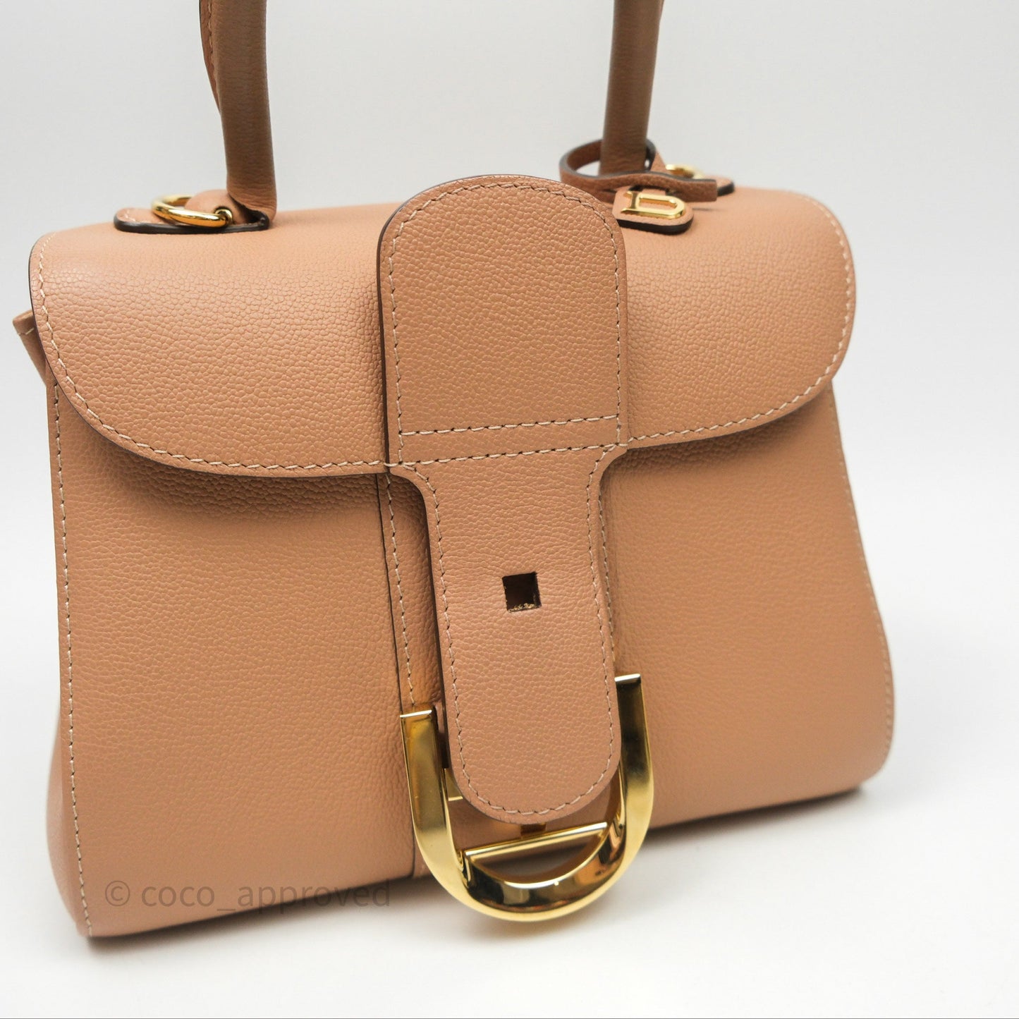 Delvaux Mini Brillant Bag Vison Grained Calfskin Gold Hardware with Twilly