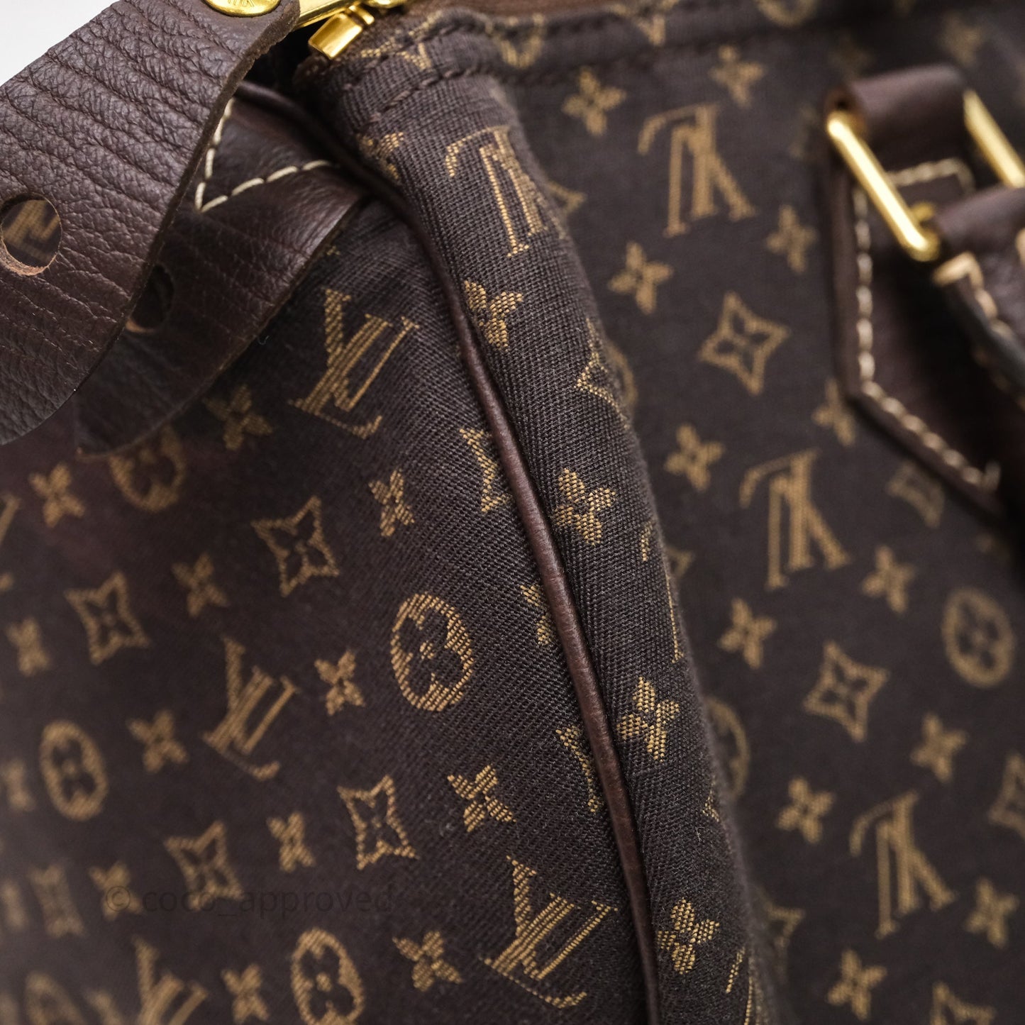 Louis Vuitton Speedy 30 Monogram Mini Lin