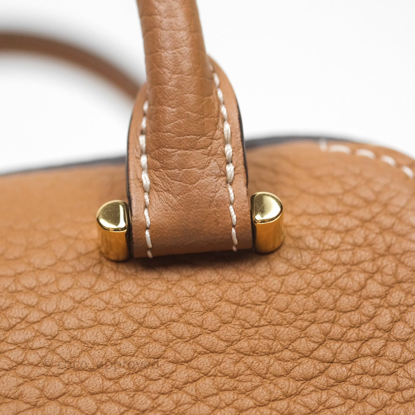 Delvaux Cool Box Nano Taurillon Soft Grained Calfskin Vegetal Ivory Gold Hardware