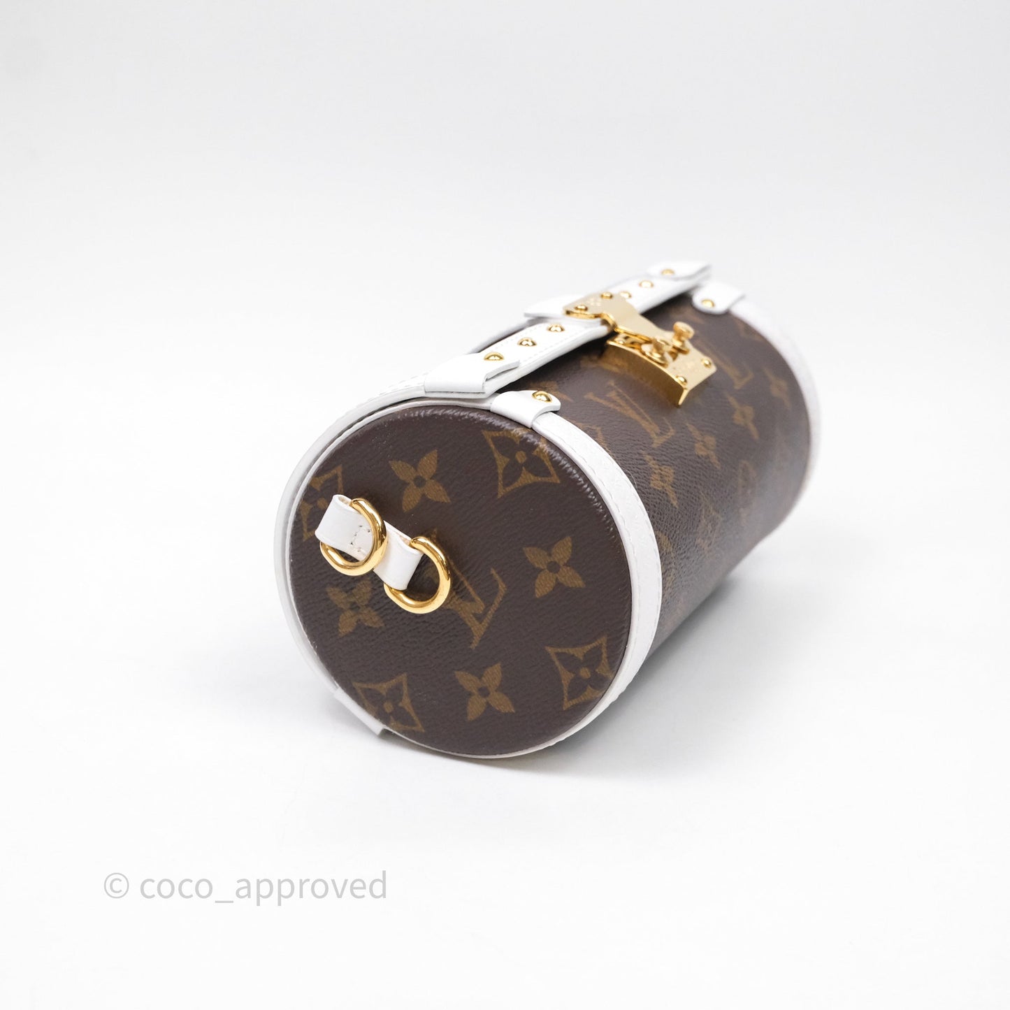 Louis Vuitton Monogram Papillon Trunk Bag