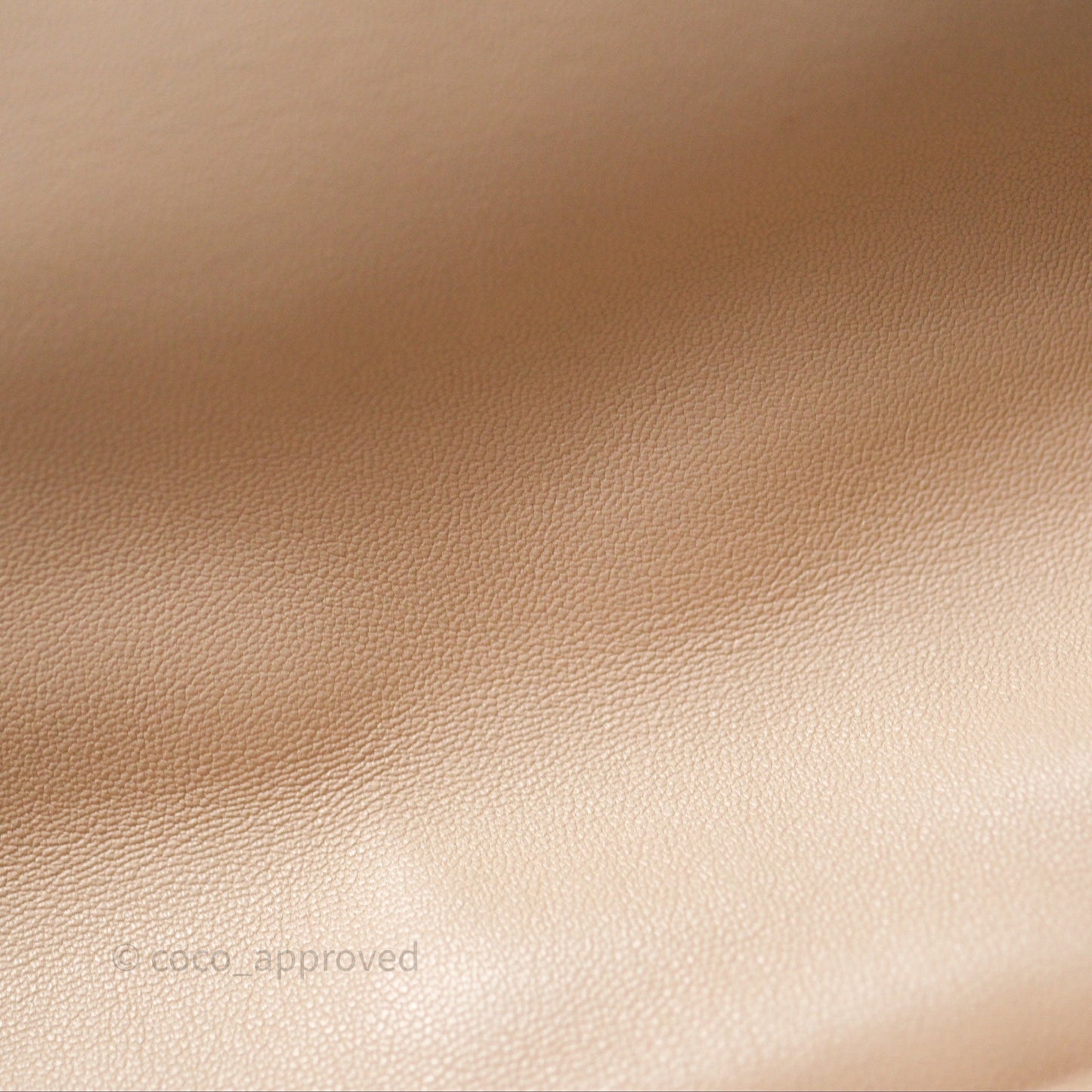 Chanel 19 Small Beige Mixed Hardware