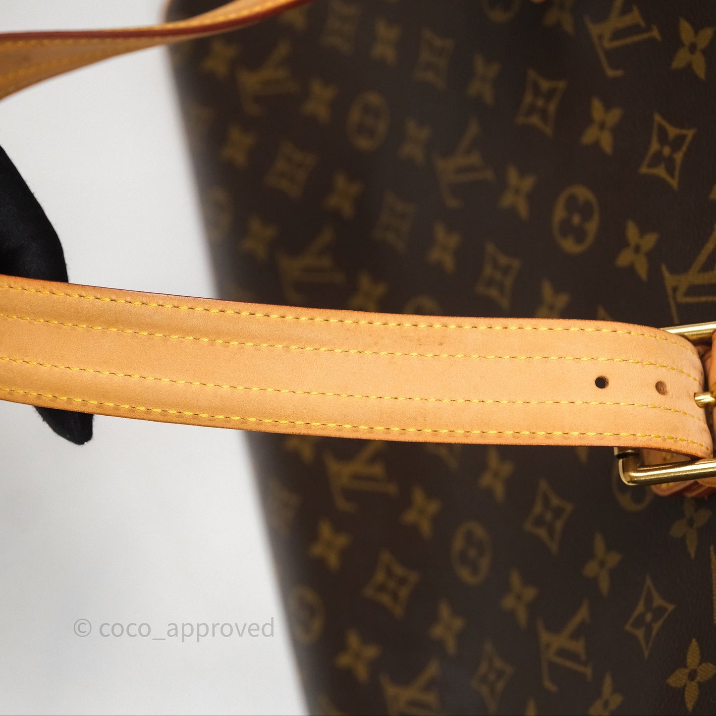 Louis Vuitton Multipli-Cite Tote Monogram Canvas