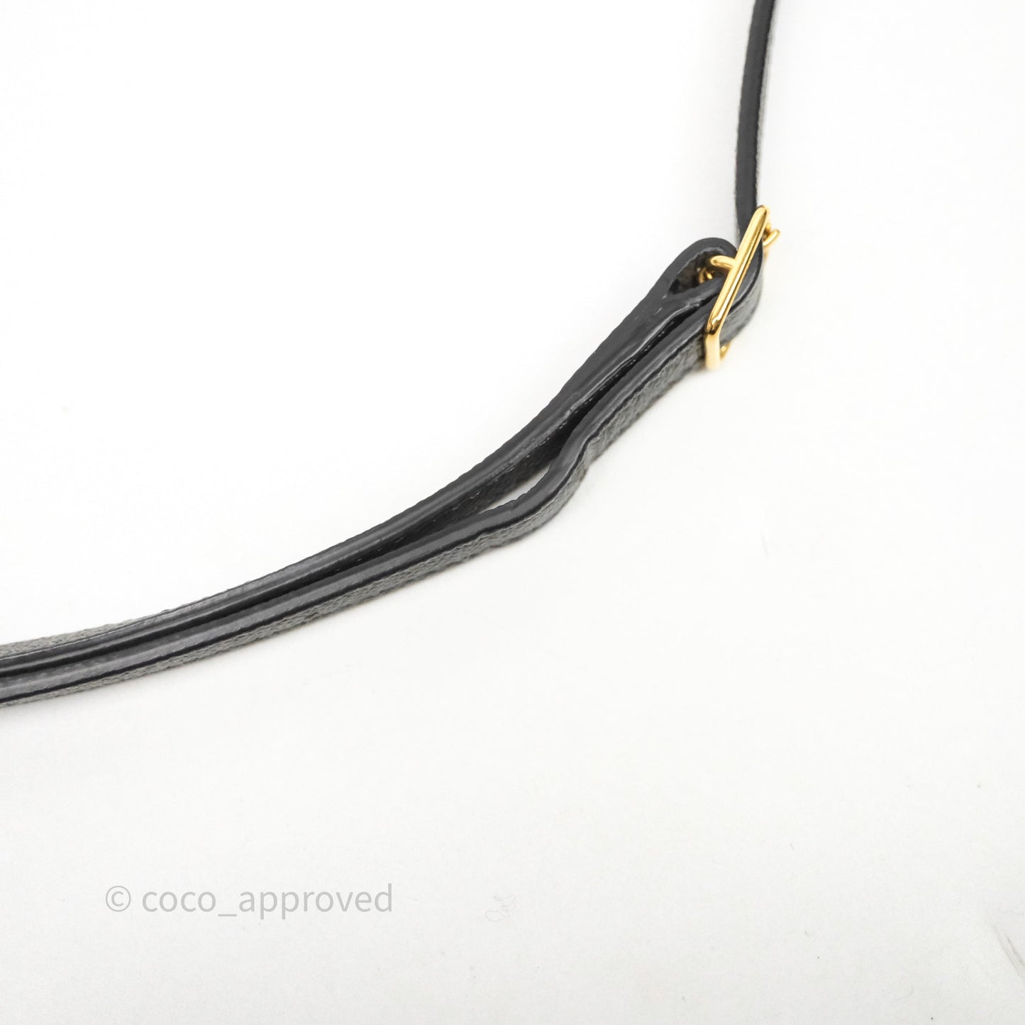 Celine Nano Belt Bag Grey Grained Calfskin Gold Hardware