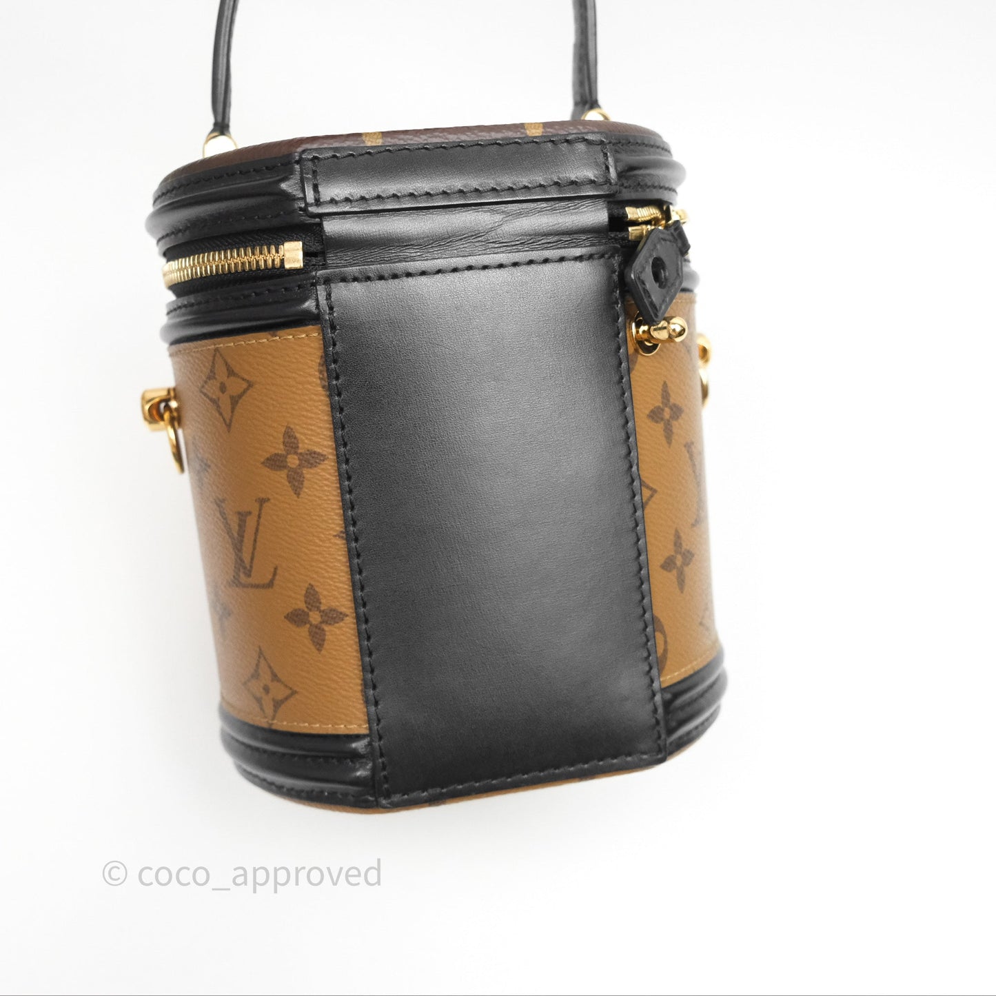 Louis Vuitton Monogram Canvas Reverse Cannes Bag