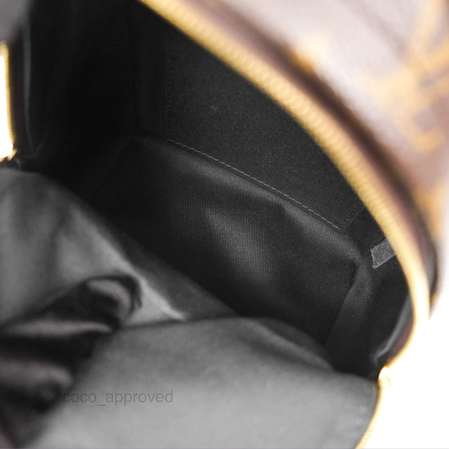 Louis Vuitton Mini Palm Springs Backpack⁣ Monogram