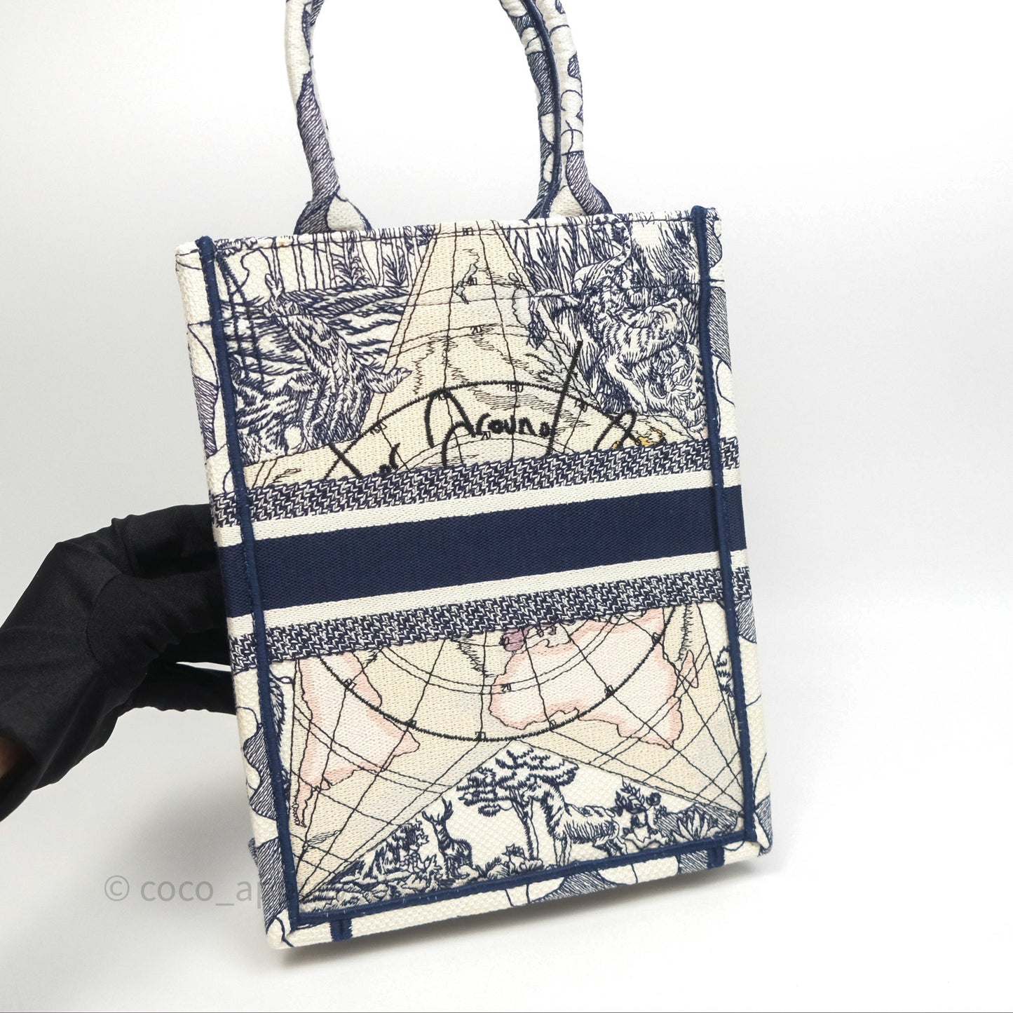 Dior Around The World Vertical Book Tote Blue White