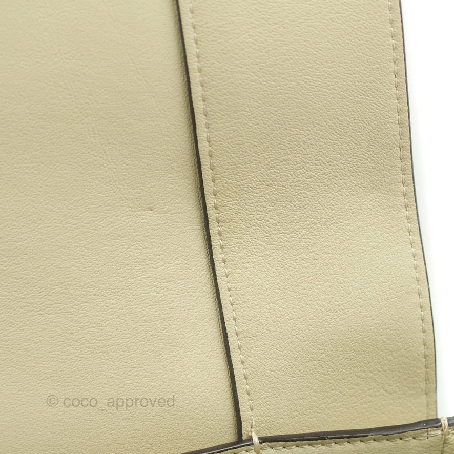 Celine Frame Bag Light Green