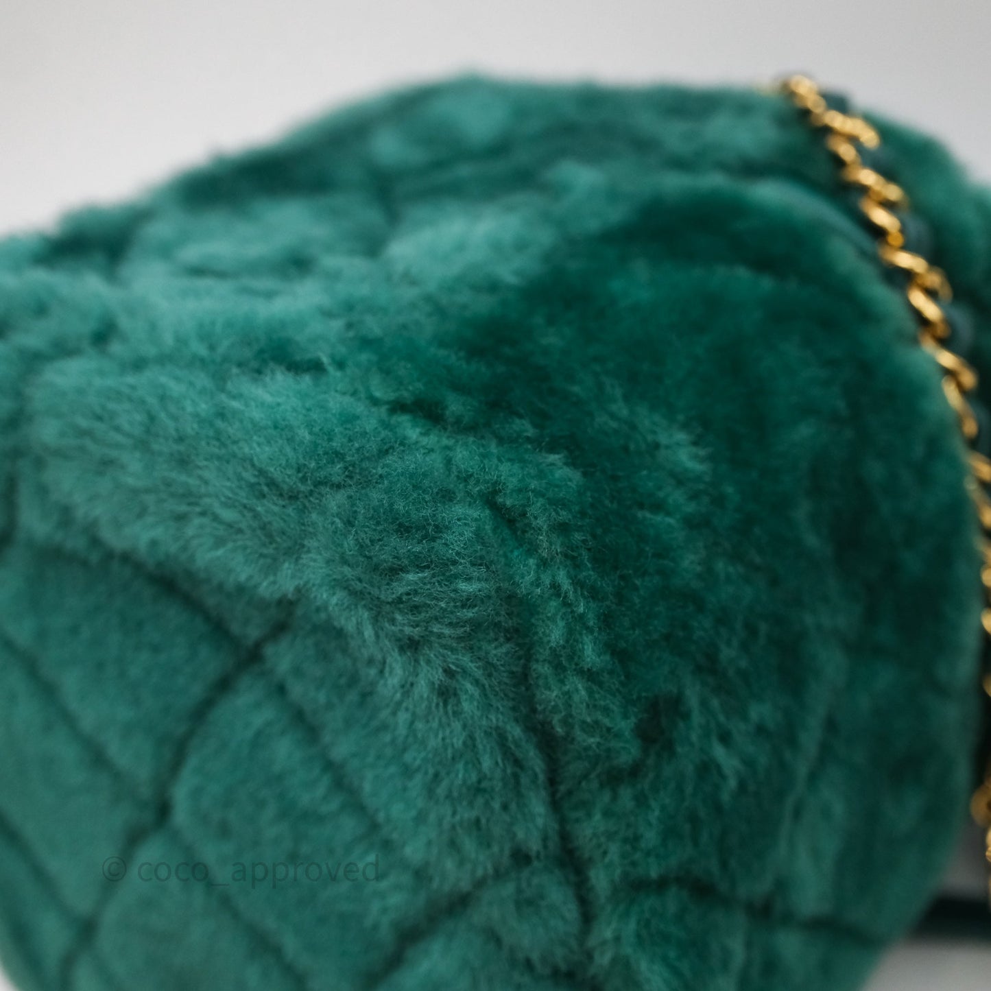 Chanel Small Vanity Case Green Shearling Aged Gold Hardware 22A