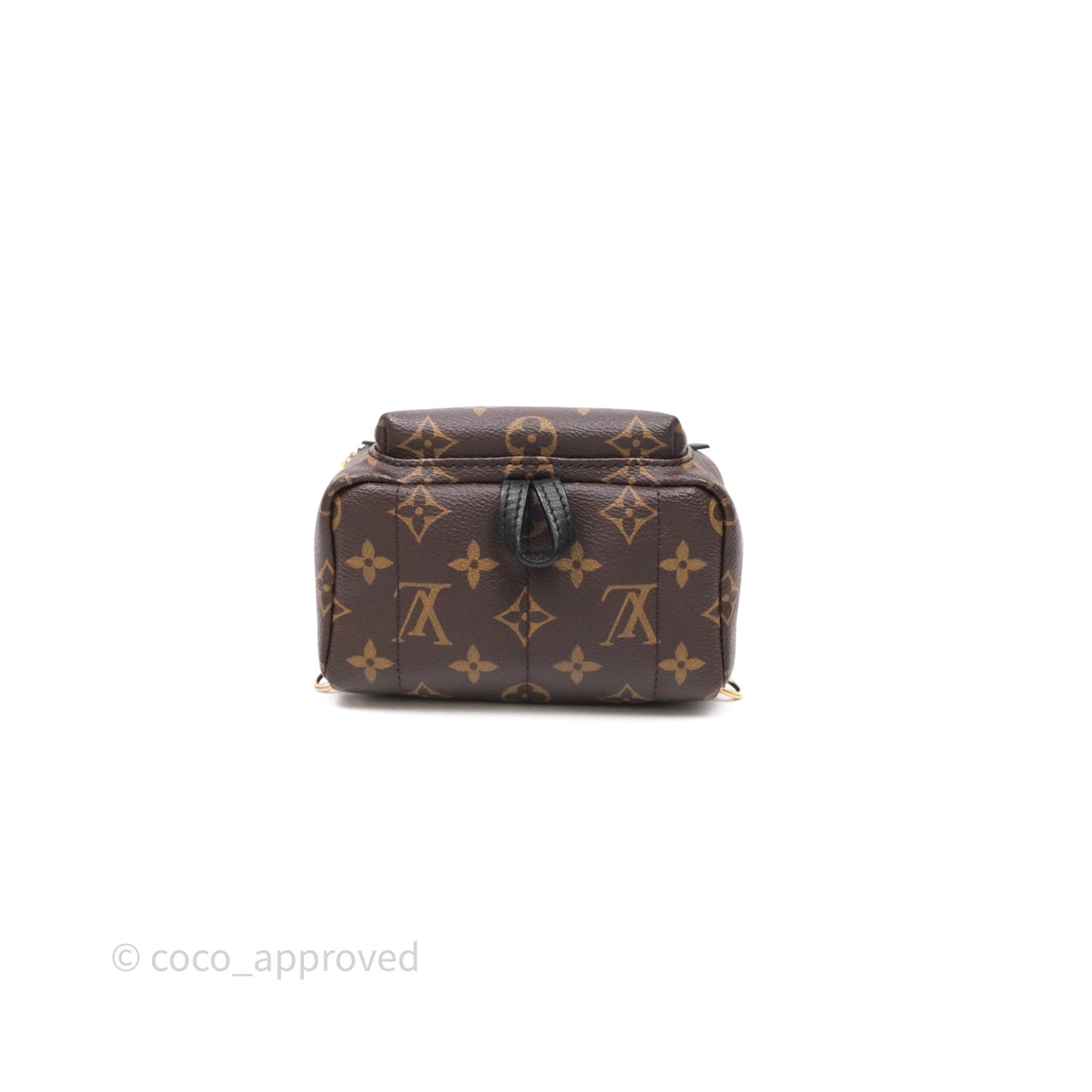 Louis Vuitton Mini Palm Springs Backpack⁣ Monogram