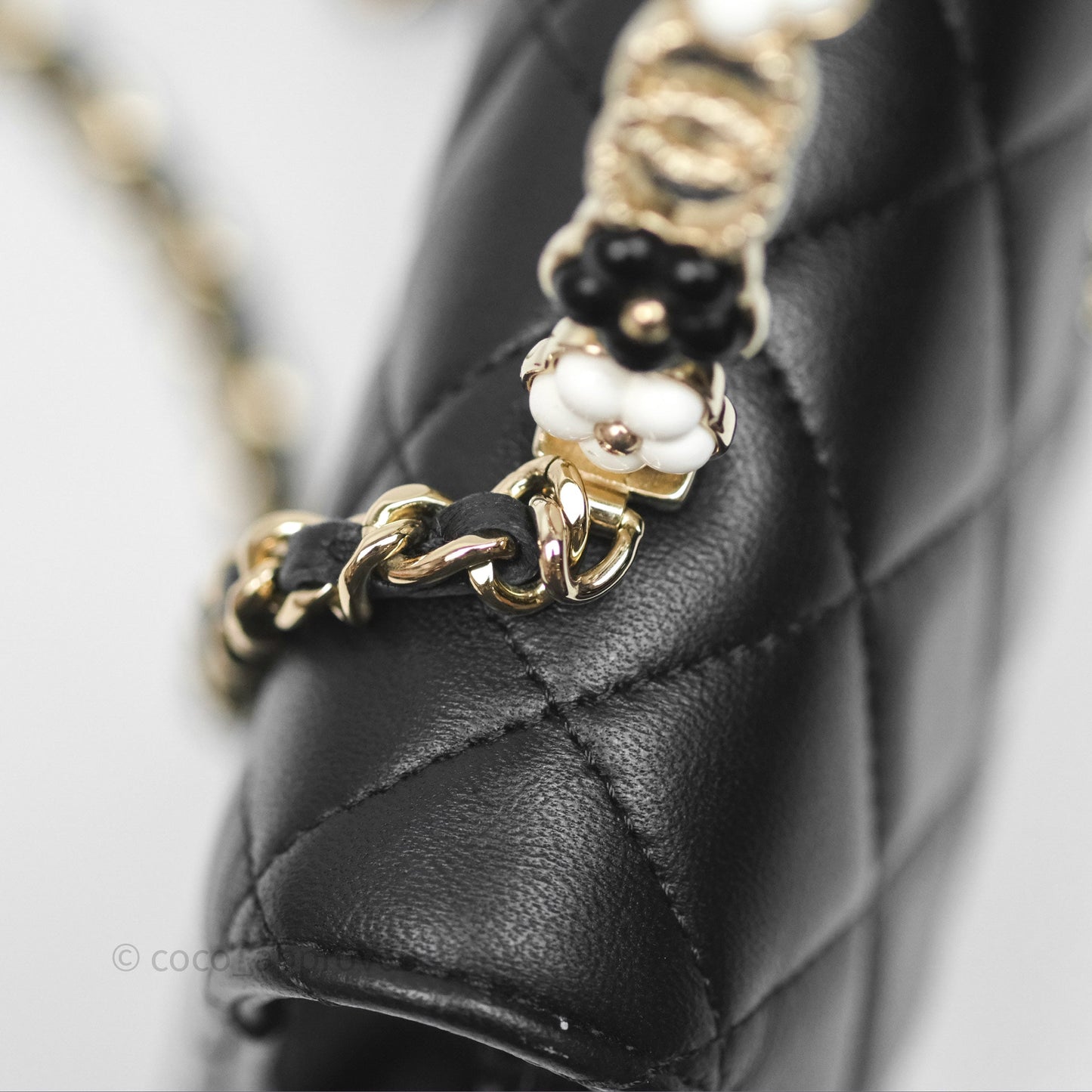 Chanel Camellia Handle Mini WOC Phone Holder with Chain Black Lambskin 23K