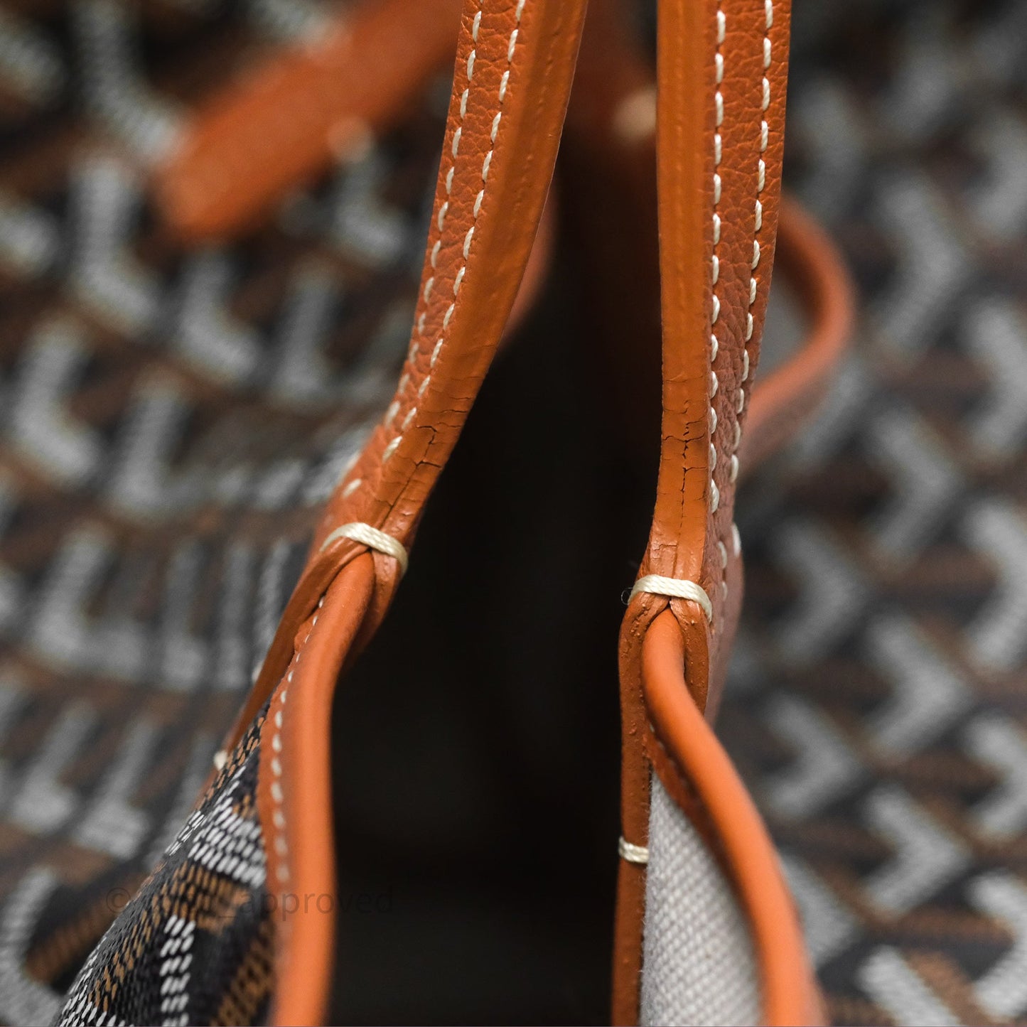 Goyard Saint Louis Tote PM⁣⁣⁣⁣⁣⁣⁣⁣⁣⁣⁣⁣⁣⁣⁣⁣⁣⁣⁣⁣ Black/Tan