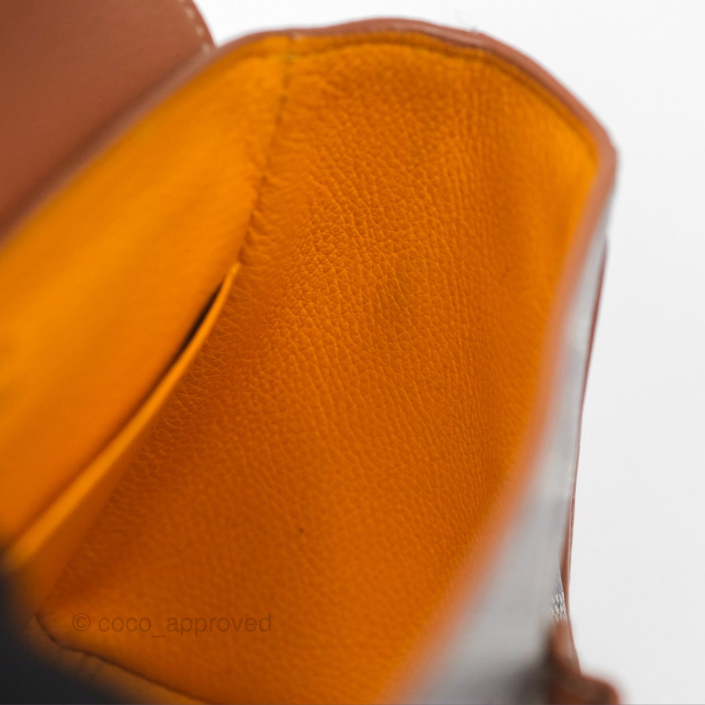 Goyard Saïgon Mini Bag Tan Goyardine Canvas/Chevroches Calfskin