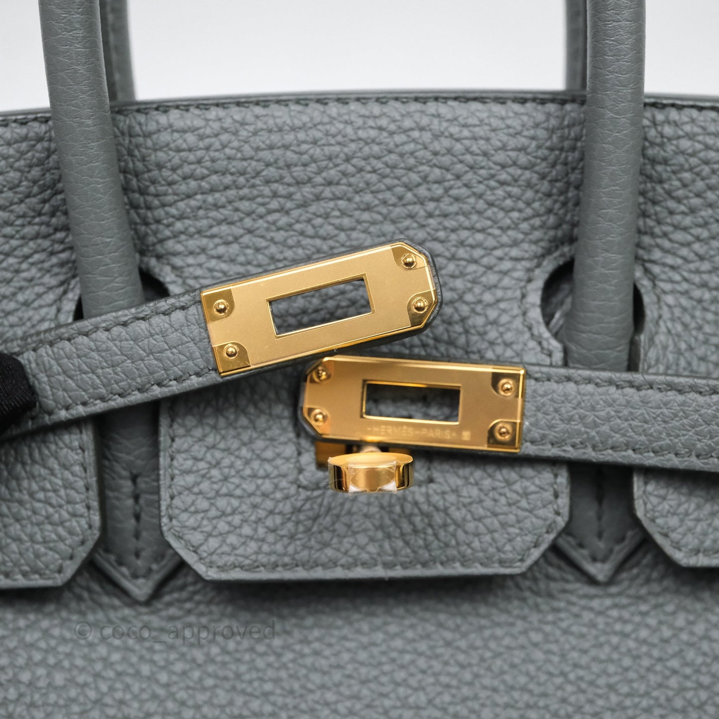 Hermes Birkin 25 Vert Amande Togo Gold Hardware