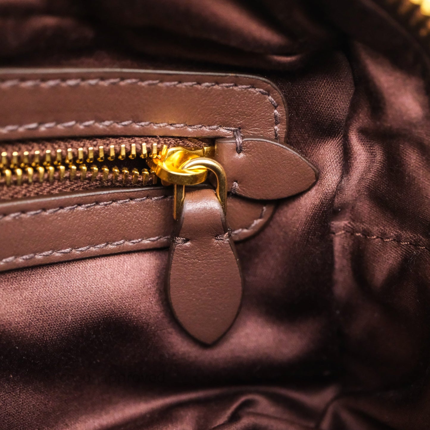 Miu Miu Arcadie Leather Bag Briarwood