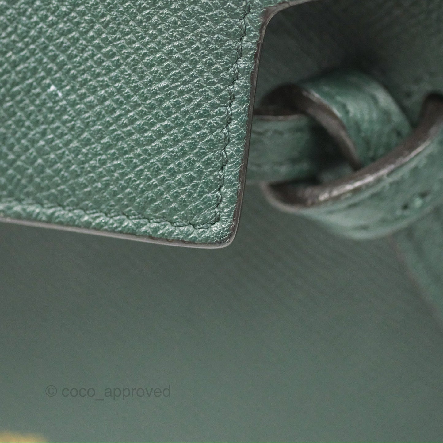 Celine Pico Belt Bag Amazone Green Grained Calfskin Gold Hardware
