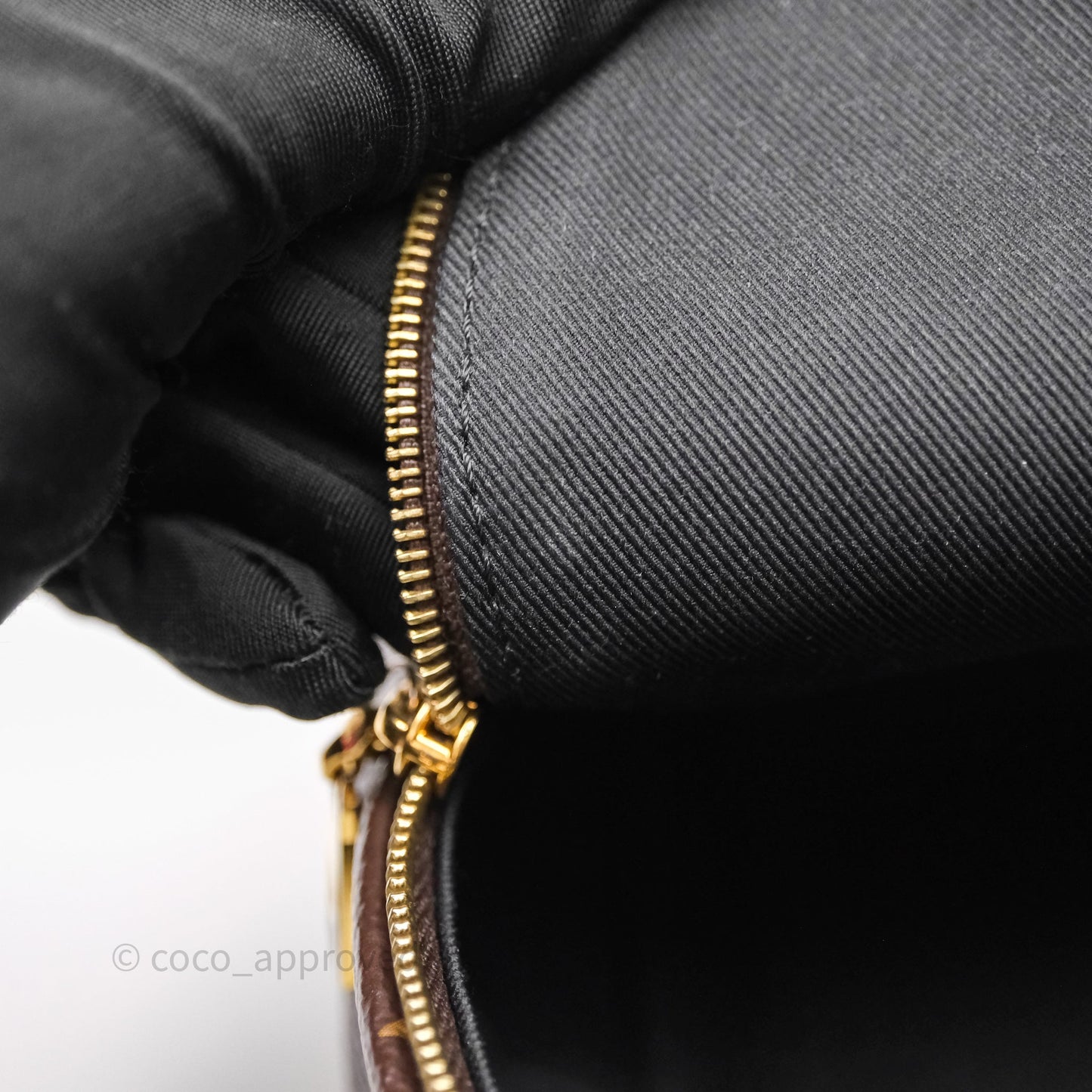 Louis Vuitton Mini Palm Springs Backpack⁣ Monogram